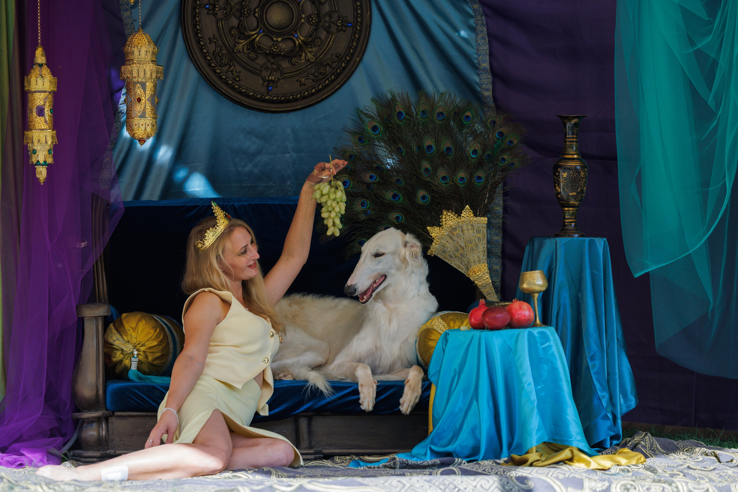 Ташкент 3хCACIB 3-5.10.2025. Фотограф-анималист Юлия Германика