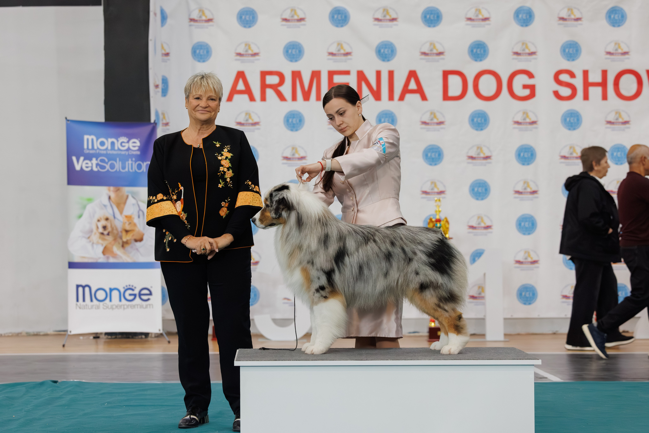 Ереван 2х CACIB 29-30.04.2025. Фотограф-анималист Юлия Германика