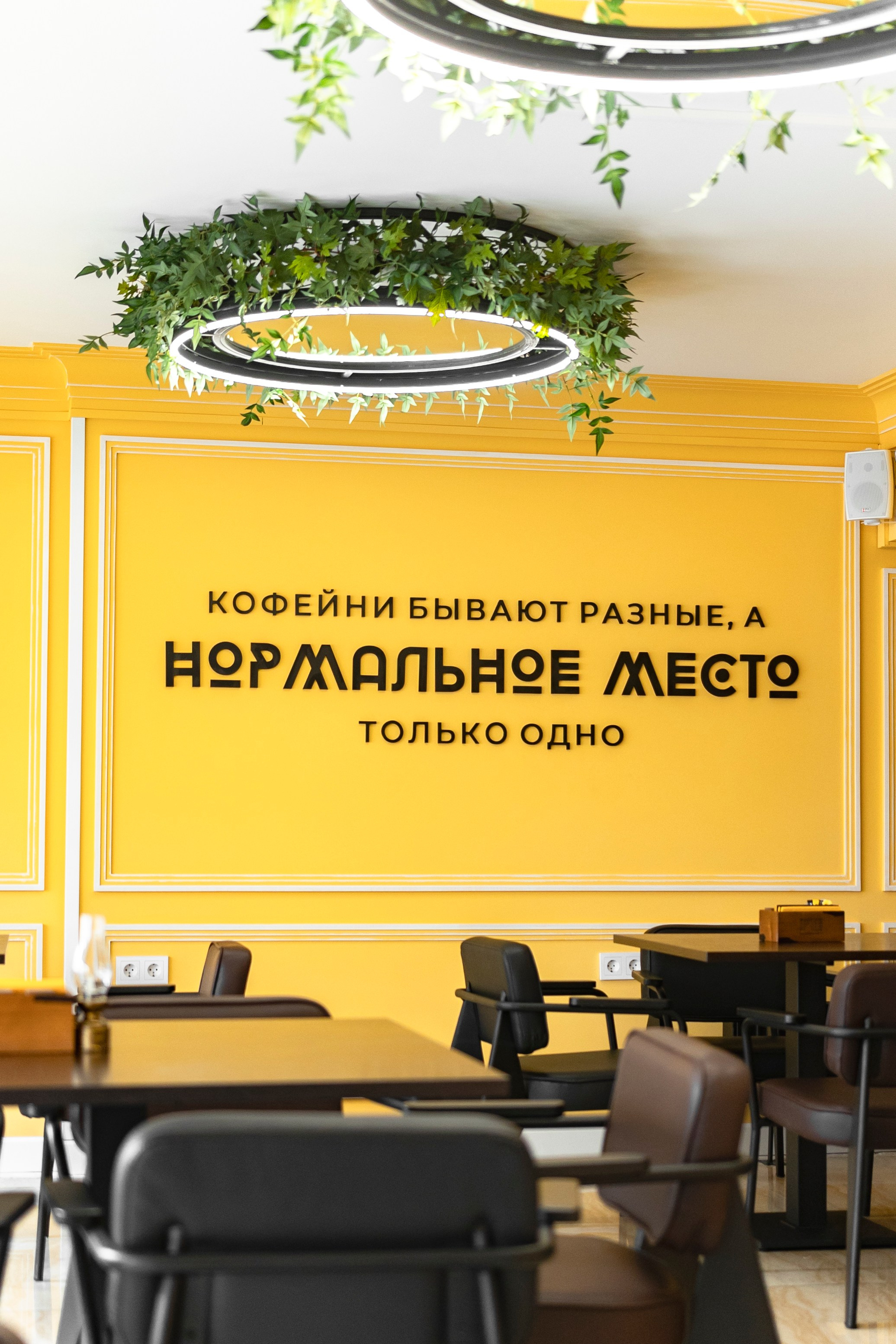 Интерьерная съемка заведения «Нормальное место». Фотограф Настя Конник | Пятигорск | Эльбрус | Домбай | Архыз