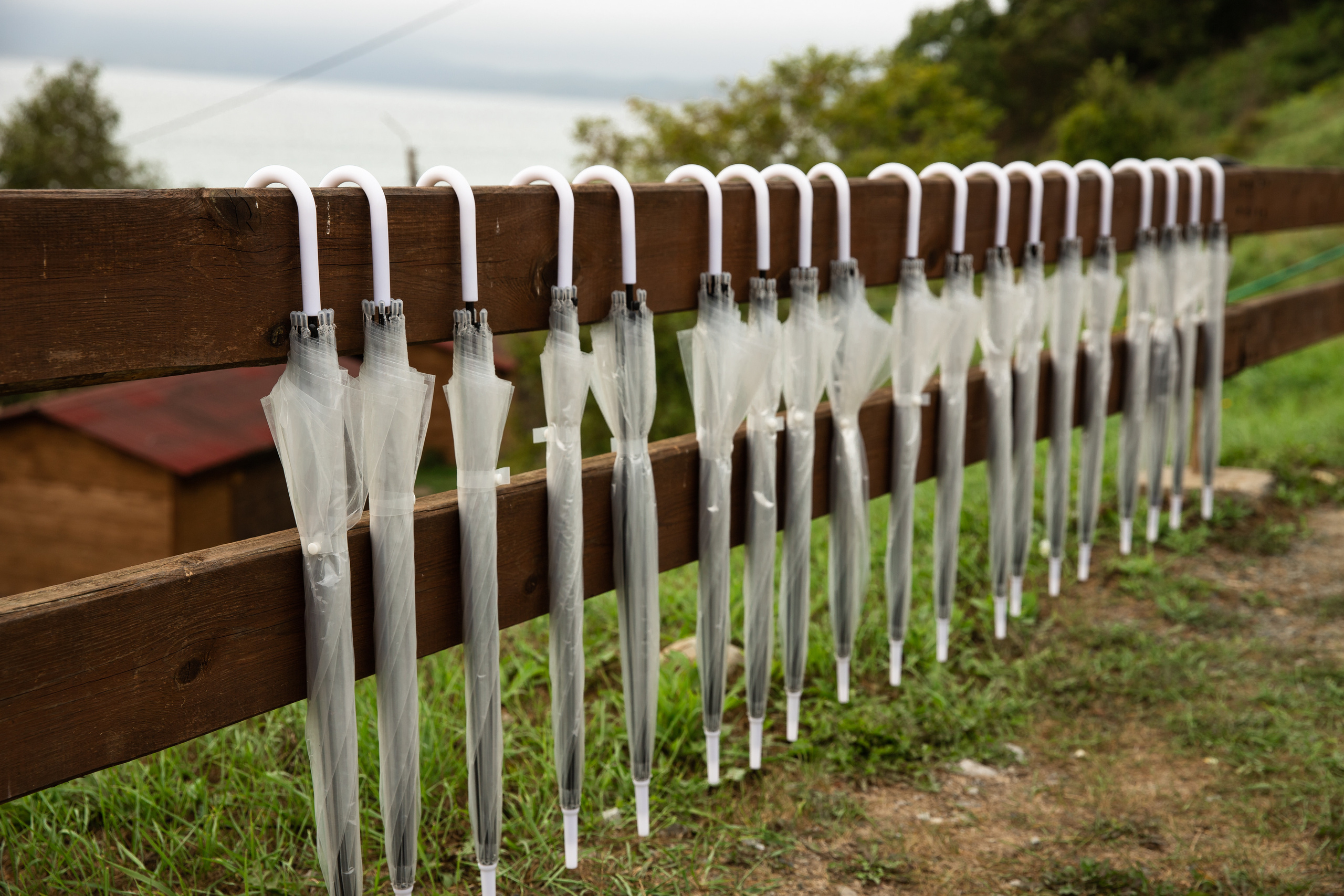 Выездная регистрация в японском стиле. Детский семейный фотограф в г. Находка Ольга Коваленко, фотостудия Memories