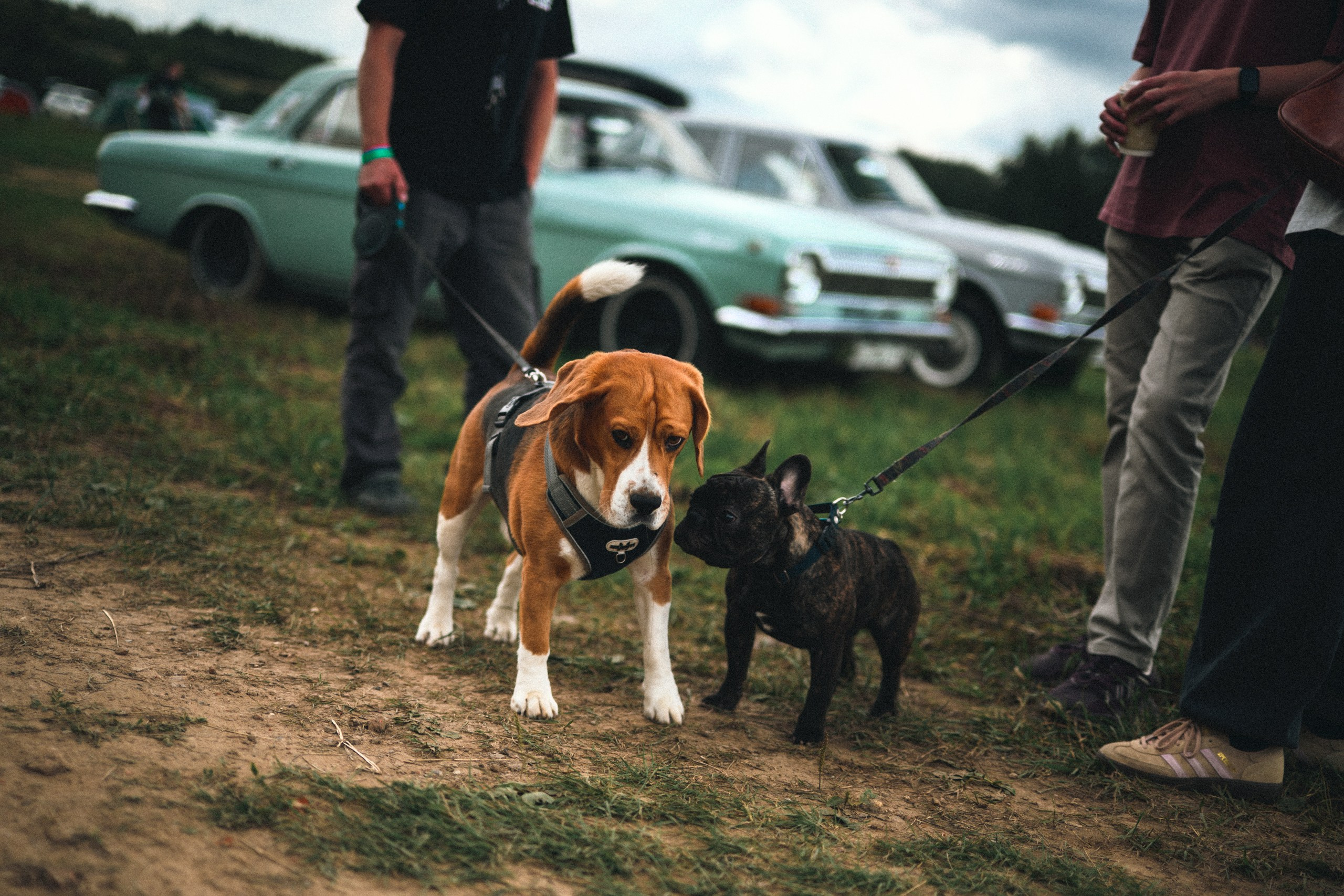 АВТОМОБИЛИ — МЕРОПРИЯТИЯ. Фотограф в Москве — Олег Штыканов