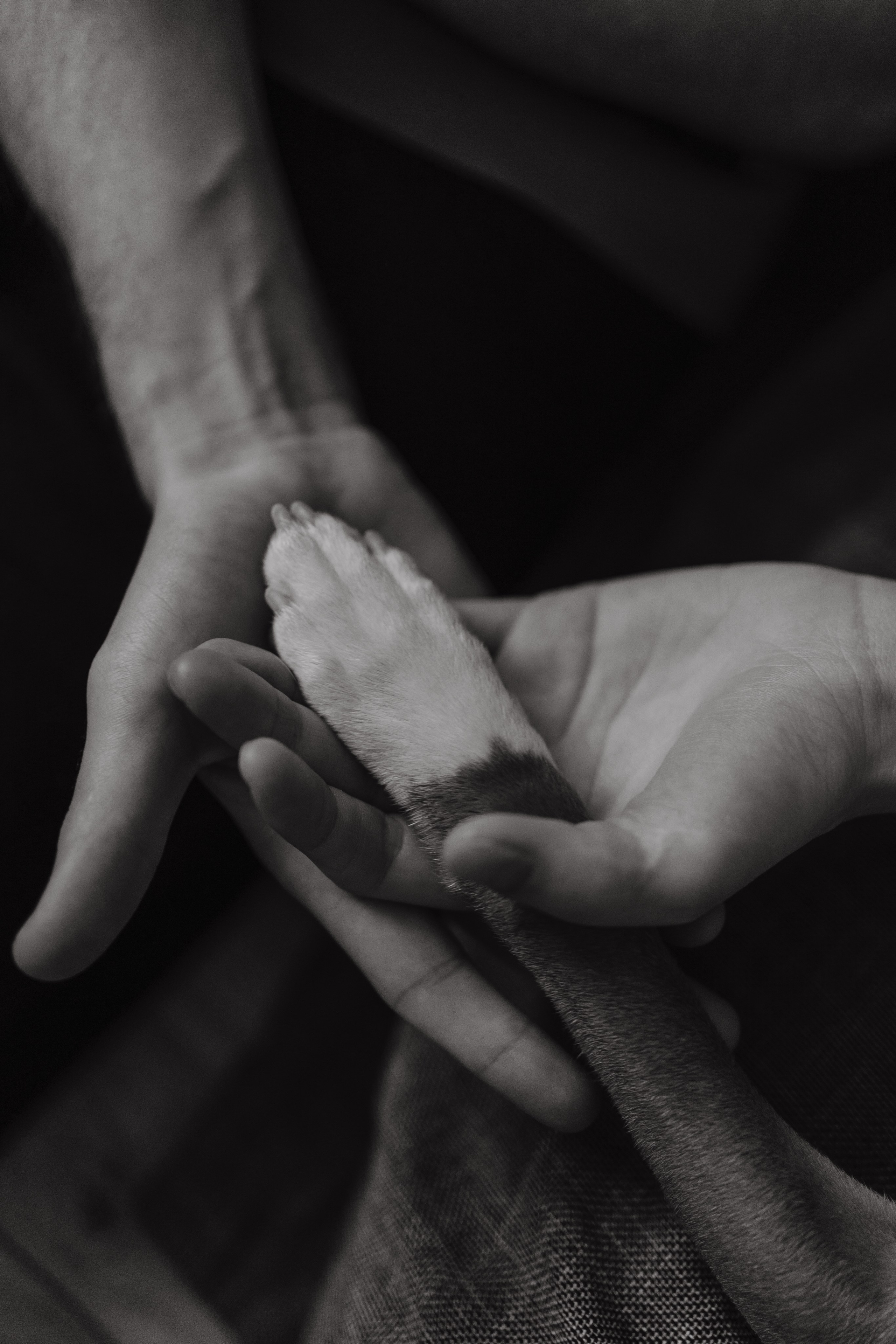 Домашние истории. Семейный фотограф в Москве Кристина Кручинина