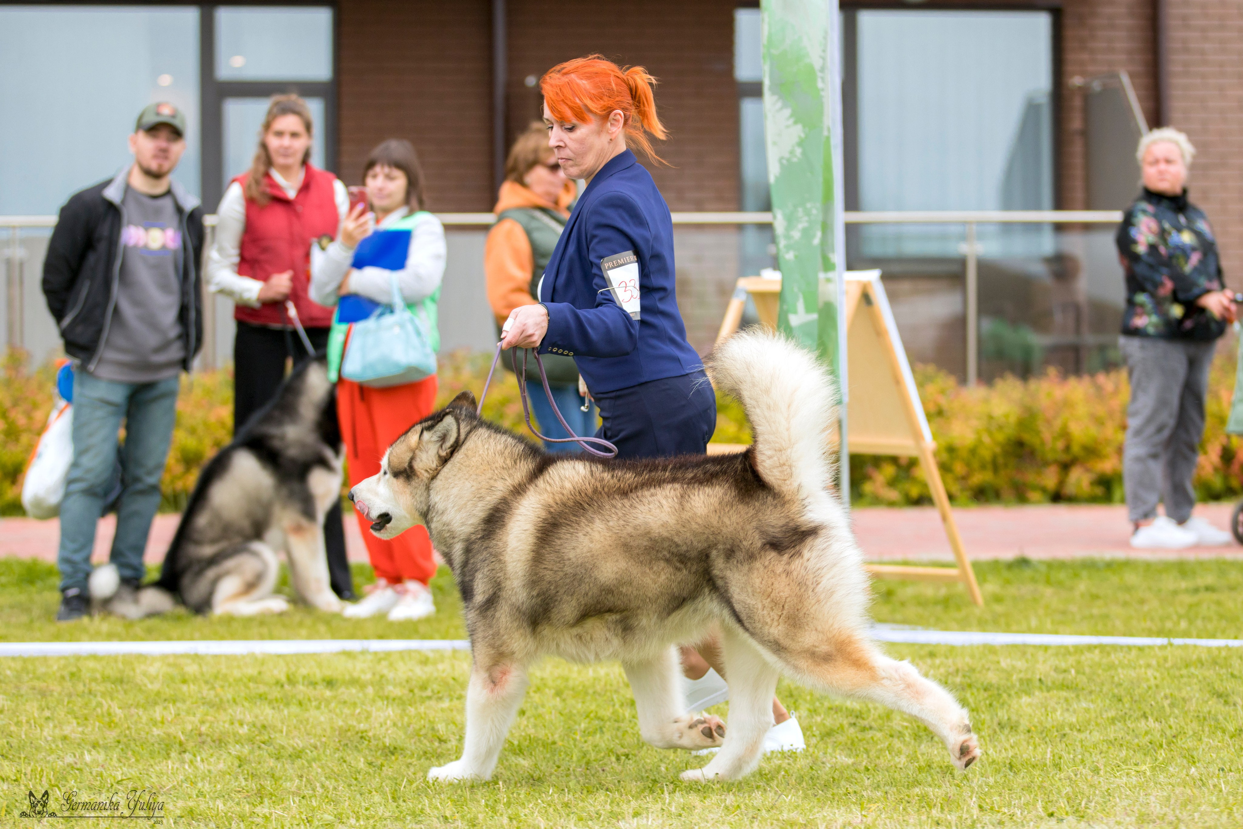 Переславль 9-10.09.2023. Фотограф-анималист Юлия Германика