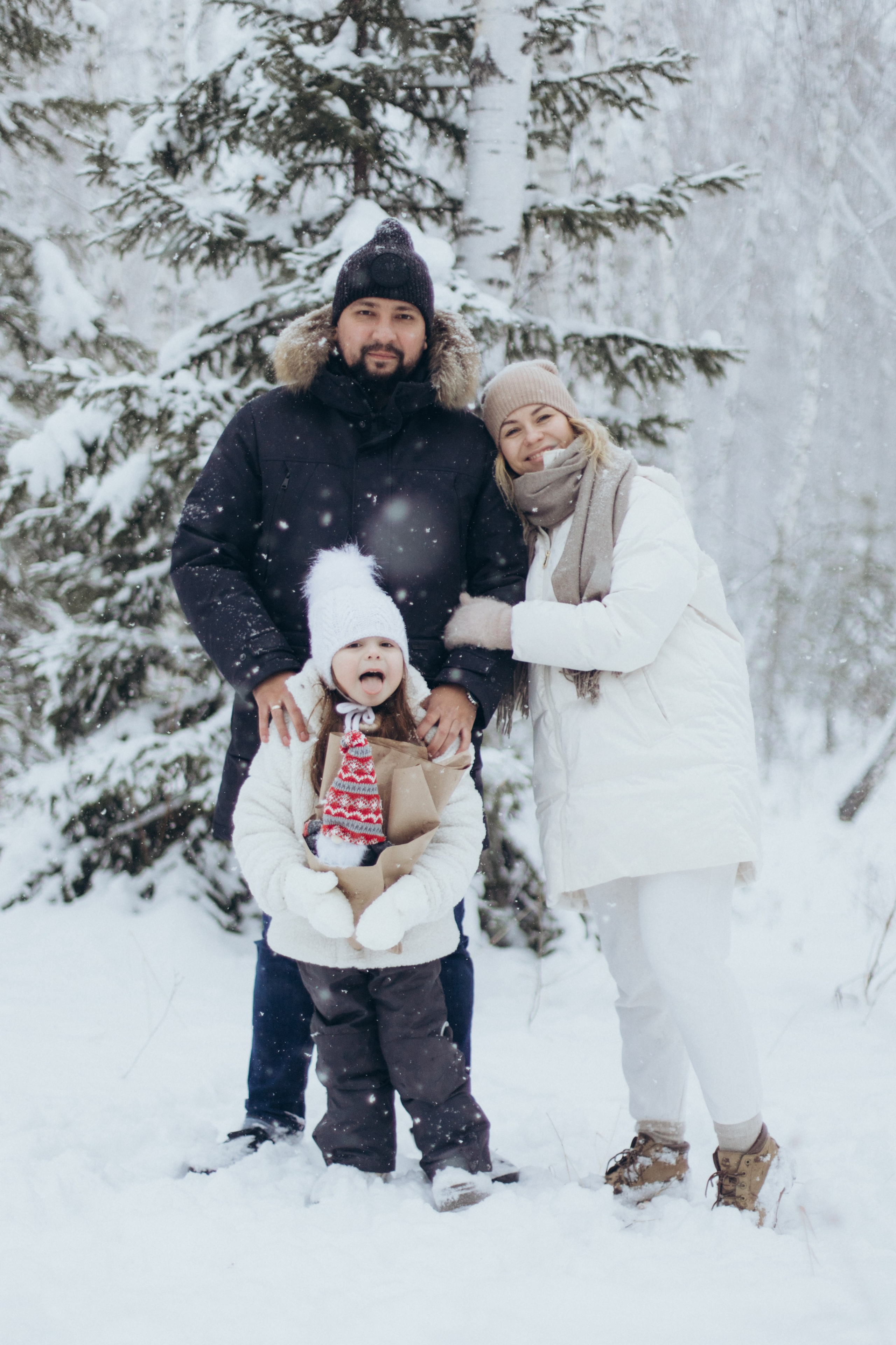 Зимняя история