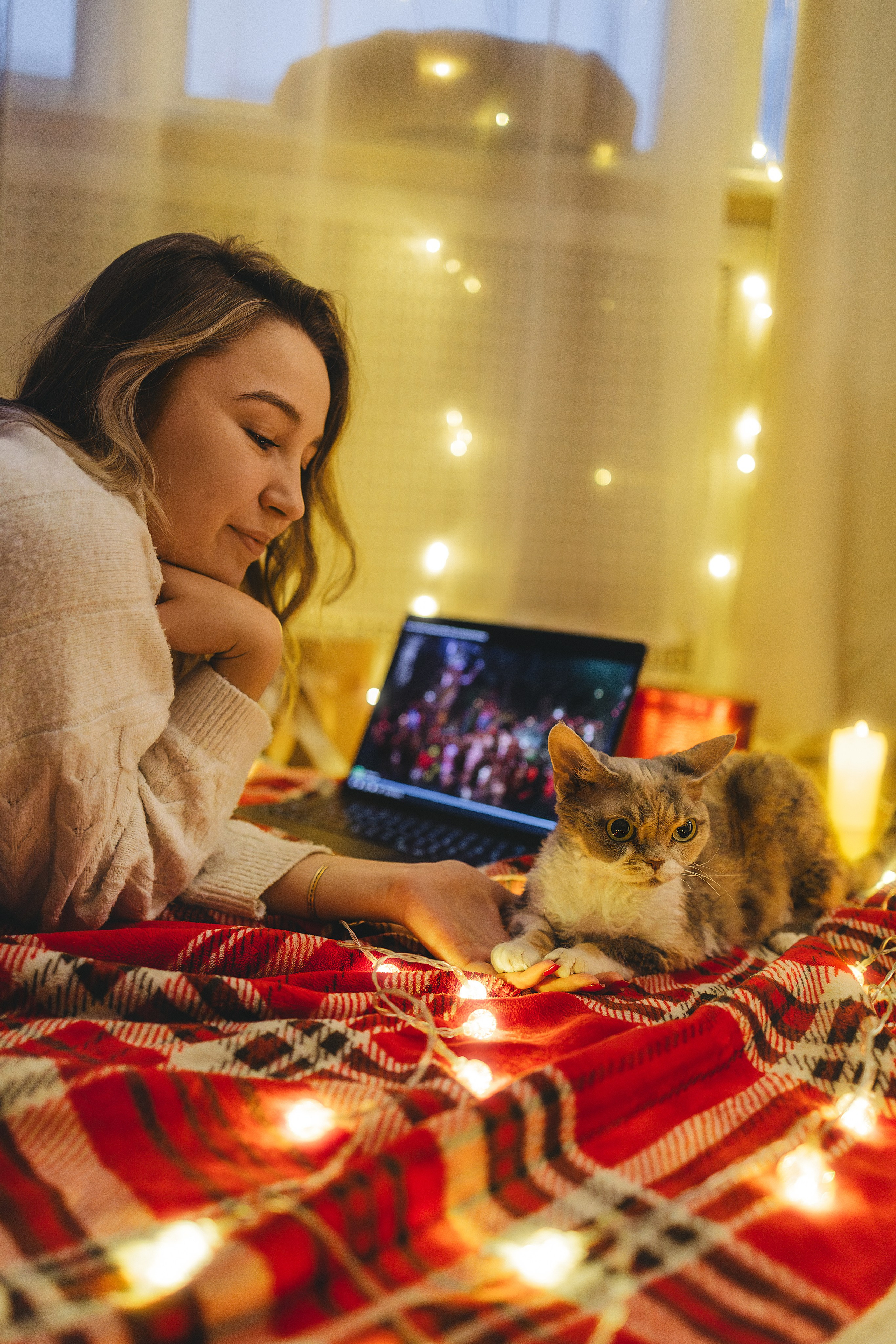 Домашняя новогодняя. Фотограф Анималист в Москве Анастасия Жучкова