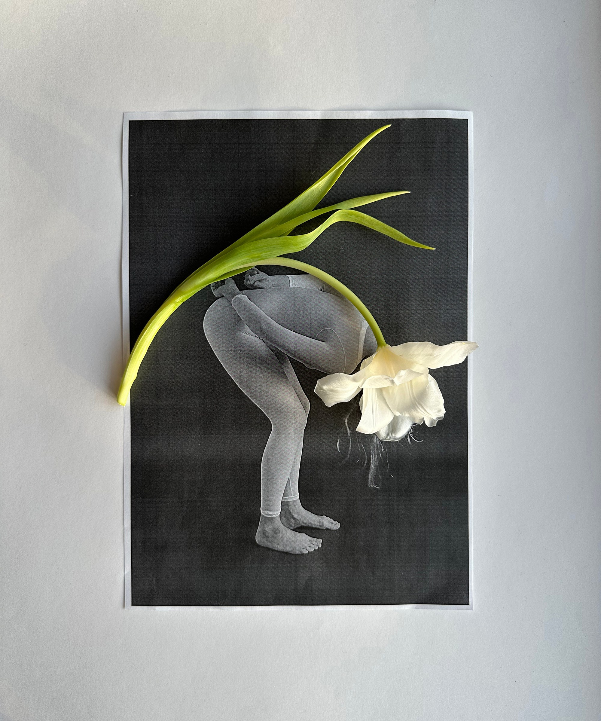 Портфолио. Визуальный художник Ольга Кутерина