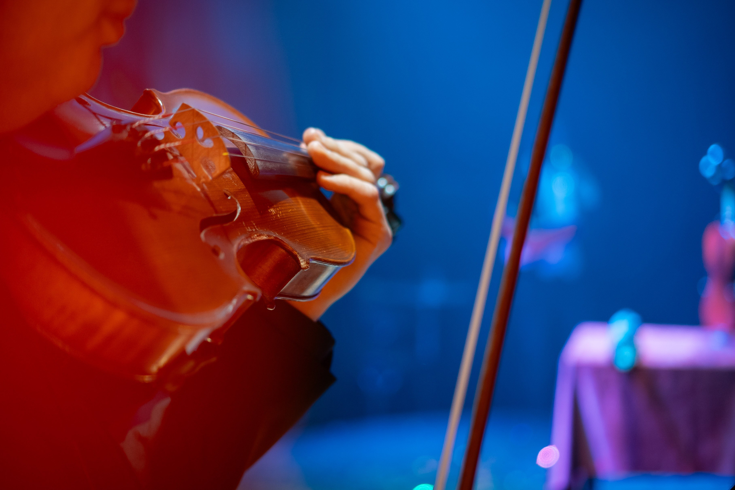 Цирковое шоу. Видеограф Добромыслов