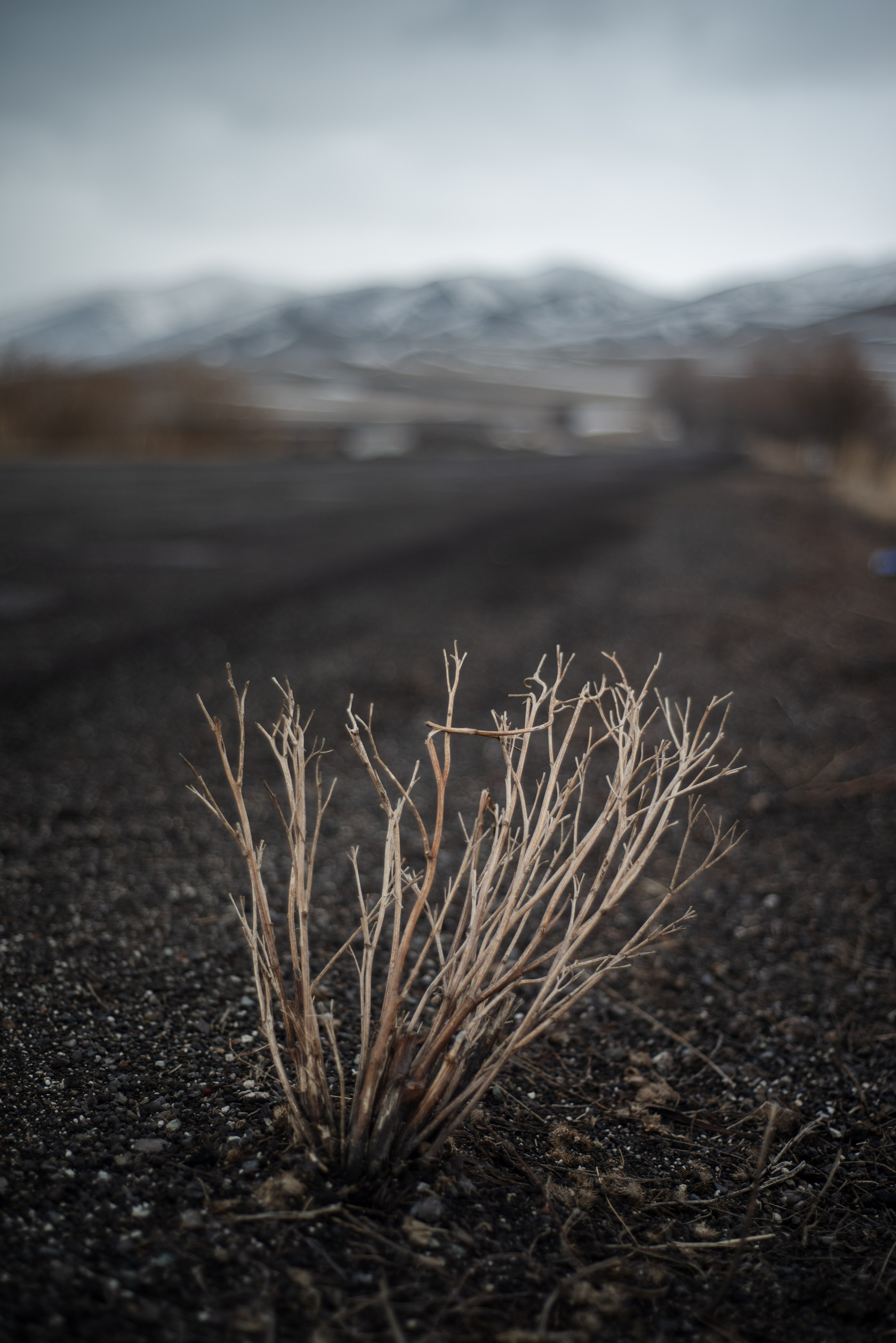 Пейзажи. Фотограф в Санкт-Петербурге Мария Мельникова