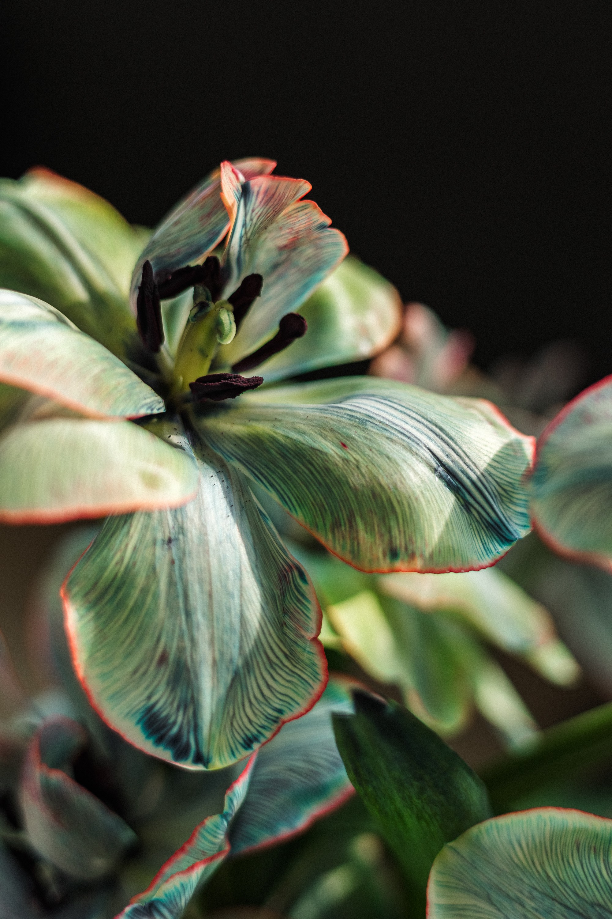 Фотопрактика МК Павла Лепешева. Фотограф из Хабаровска Юлия Черёмушкина