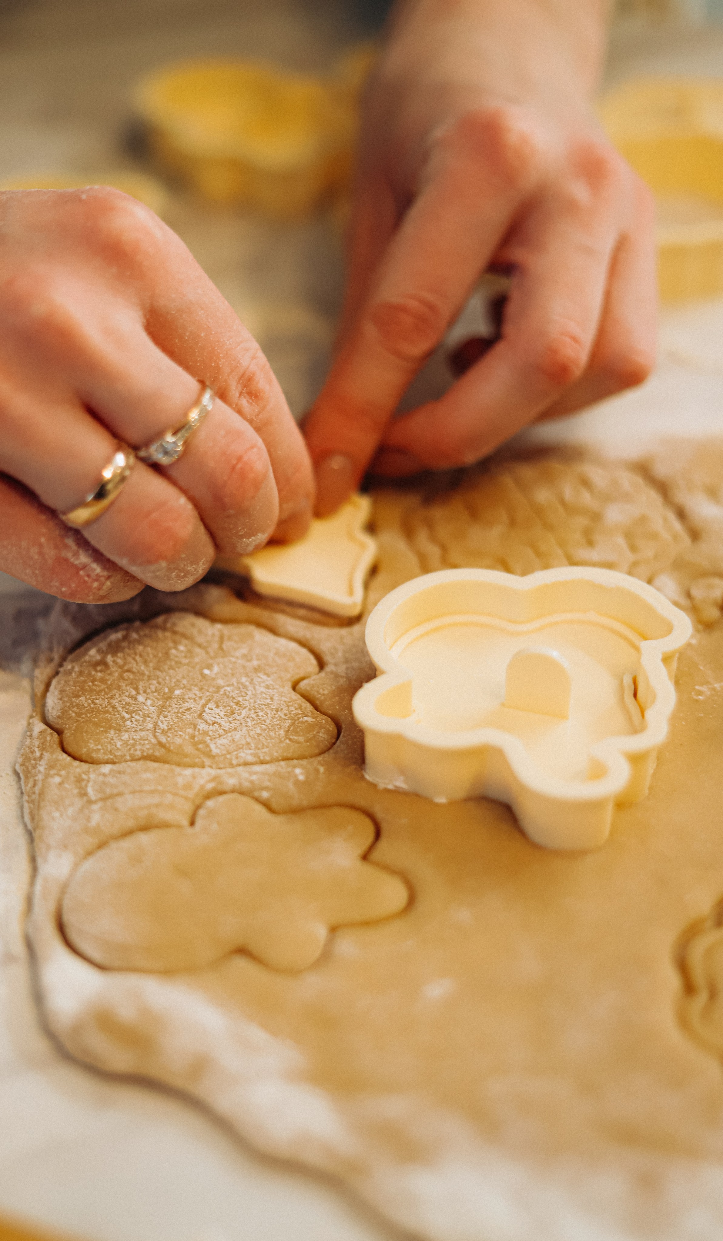 Домашняя новогодняя история. Алексей+Ксения+Дима. Услуги