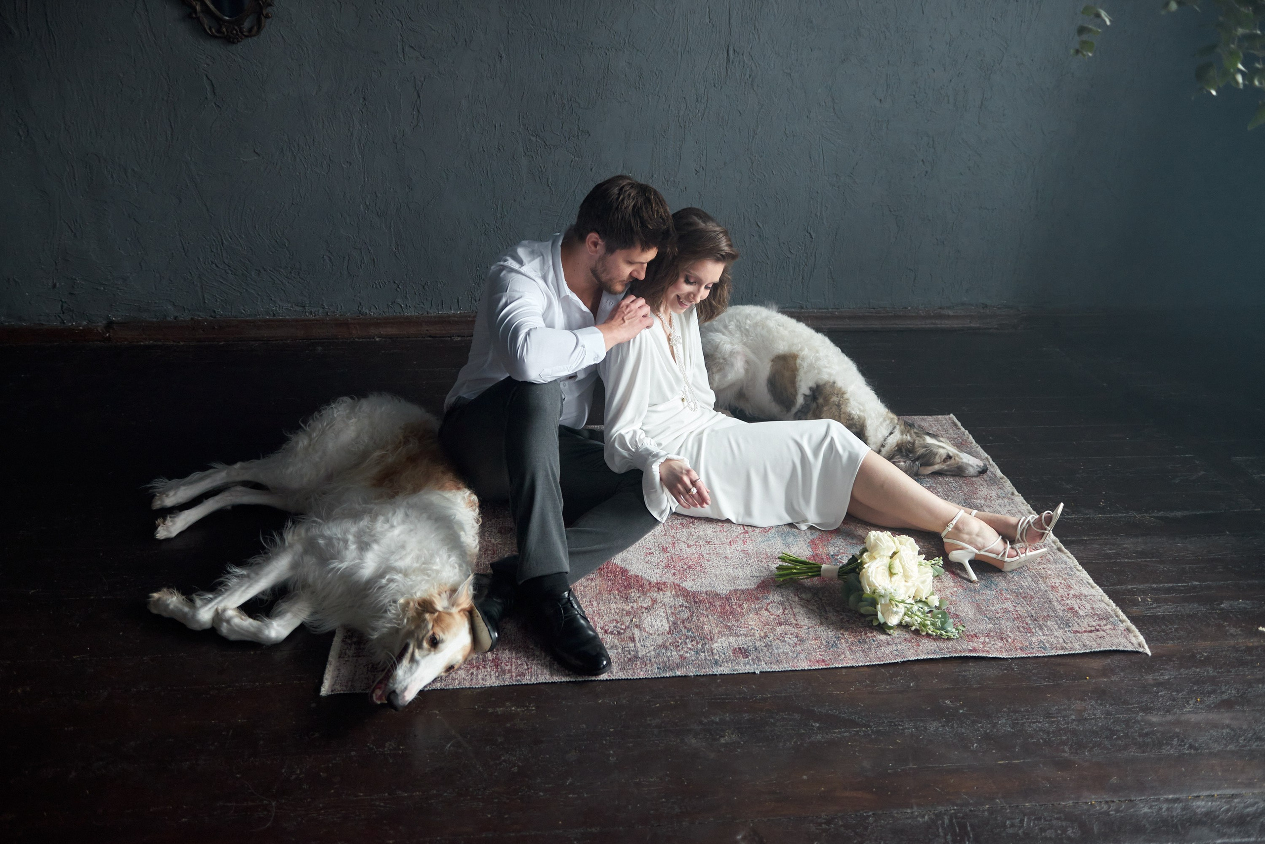 Свадебная фотосессия с борзыми в фотостудии