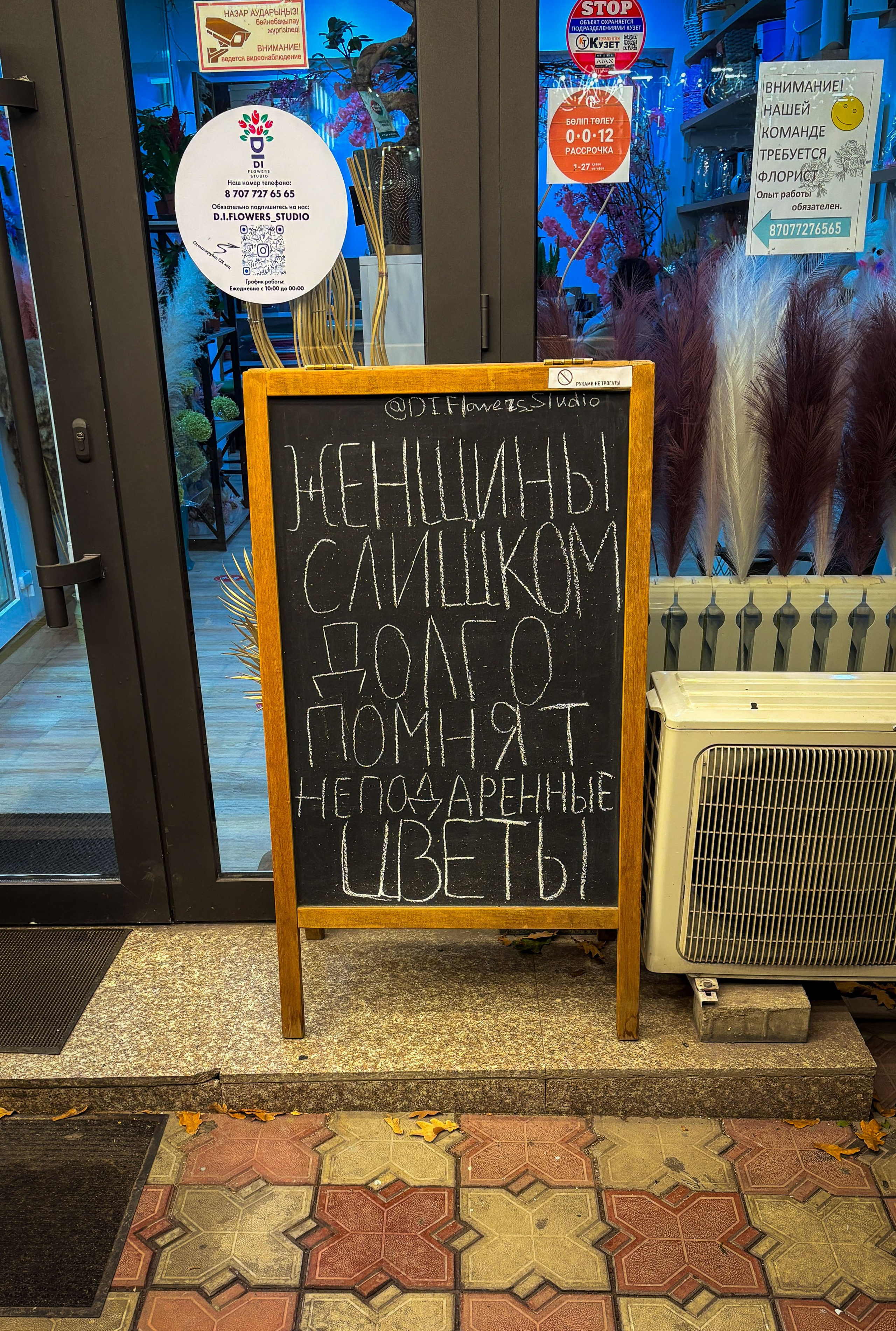 Казахстан (осень 2024). Фотограф Виноградов Константин