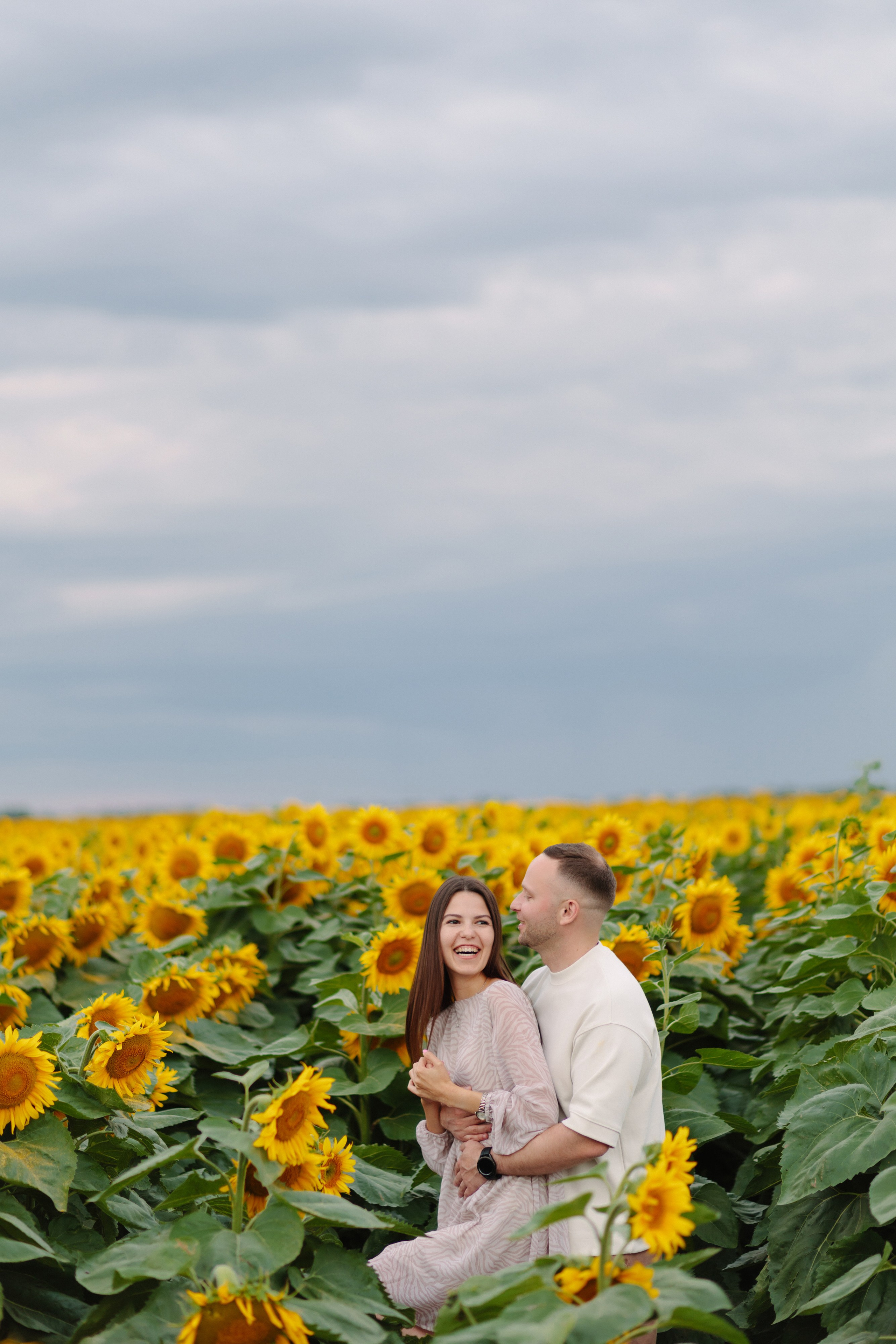 Подсолнухи. Dima Lemeshevsky