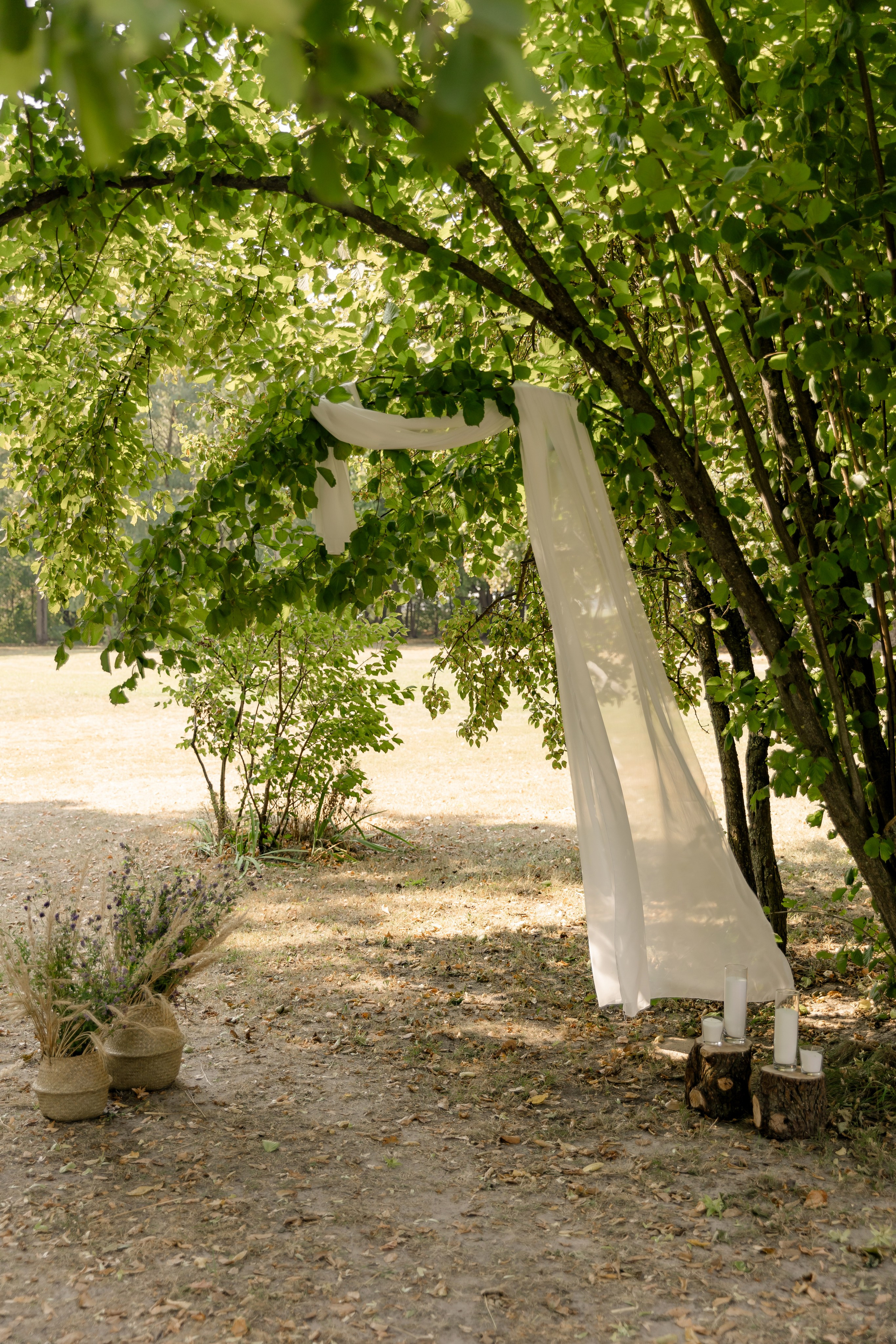 Виноградники. Dima Lemeshevsky