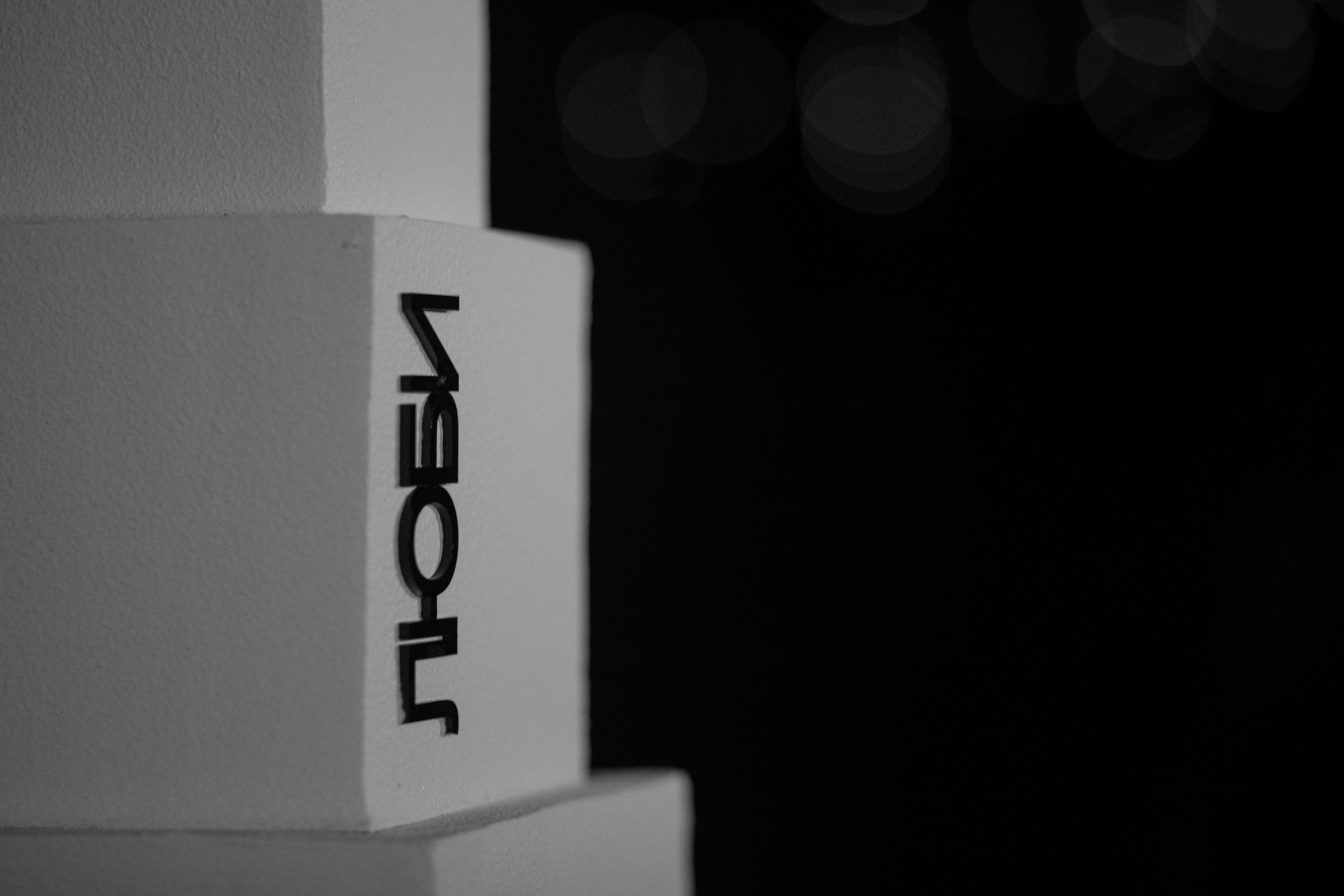 Свадьба пес и котики. Dima Lemeshevsky