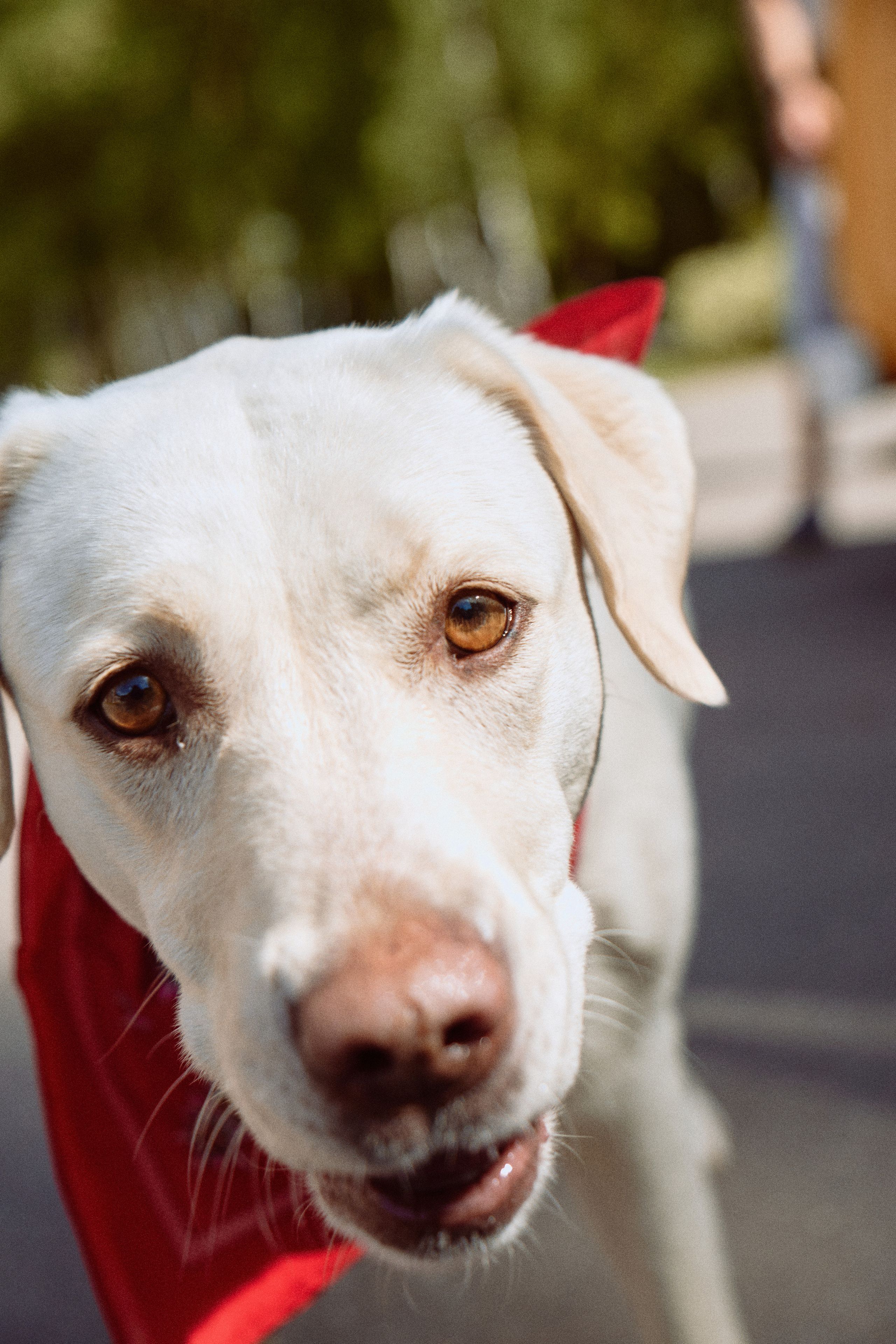 Репортаж. Фотограф Беляев Константин Москва