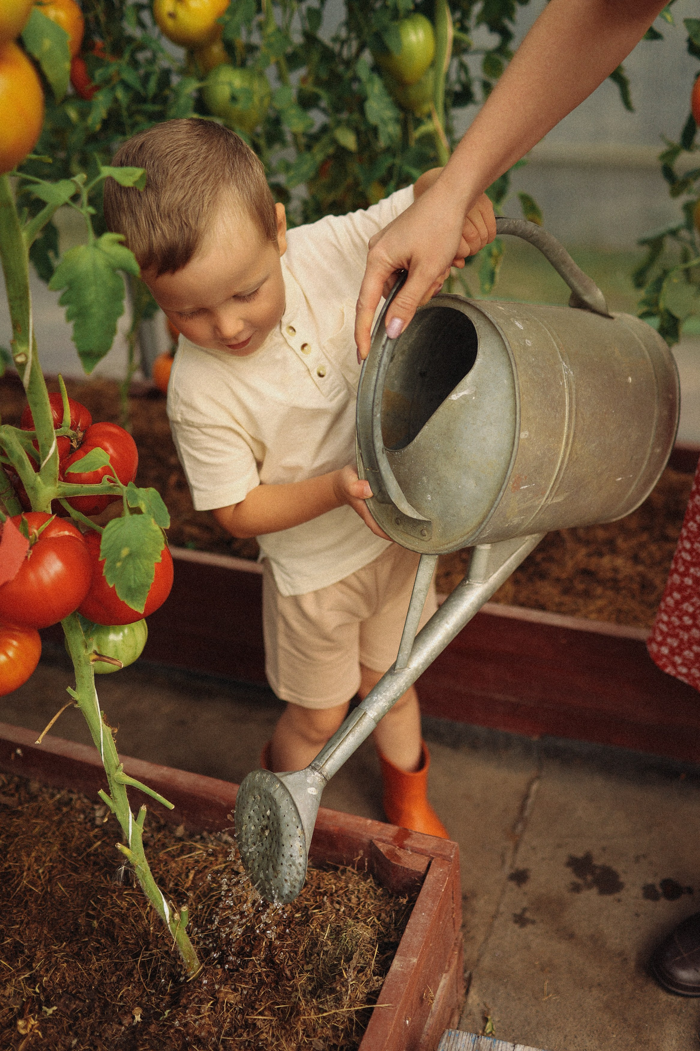 Помидорки Света и Мишенька. Фотограф Владимир Москва