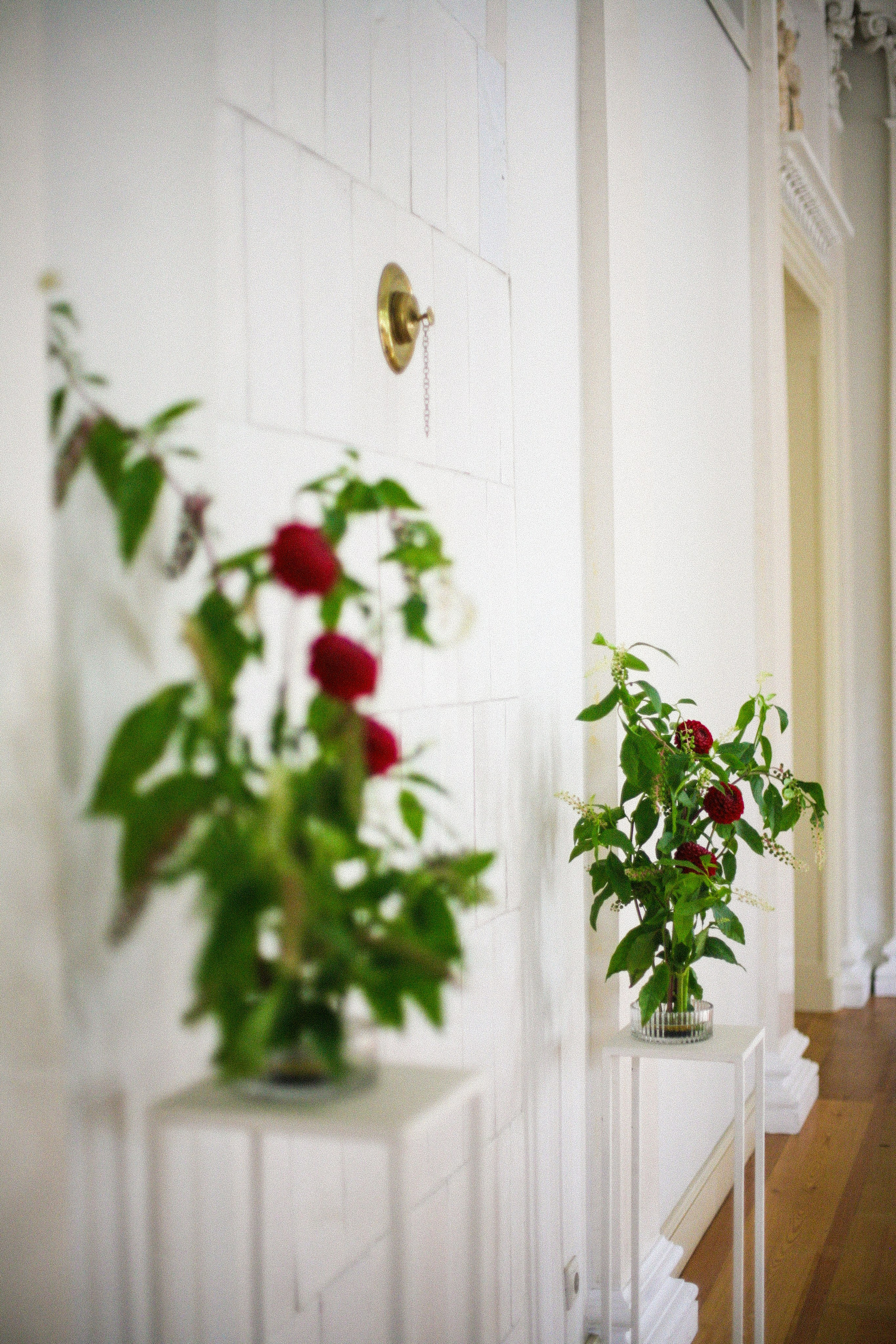 Аня и Кирилл (полный день с росписью). Фотограф Екатерина Максимова: семейные, индивидуальные съемки, свадьбы