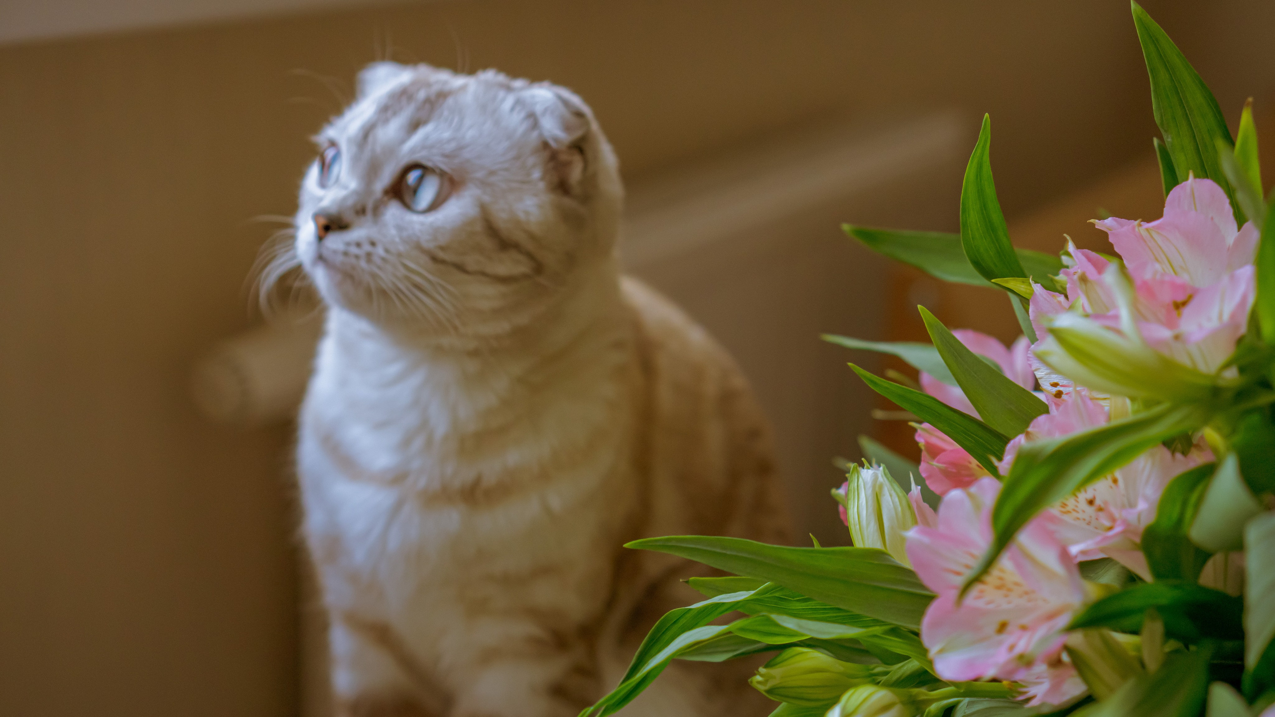 Ария. Фотограф в Кстово и Нижнем Новгороде KOLOSOK