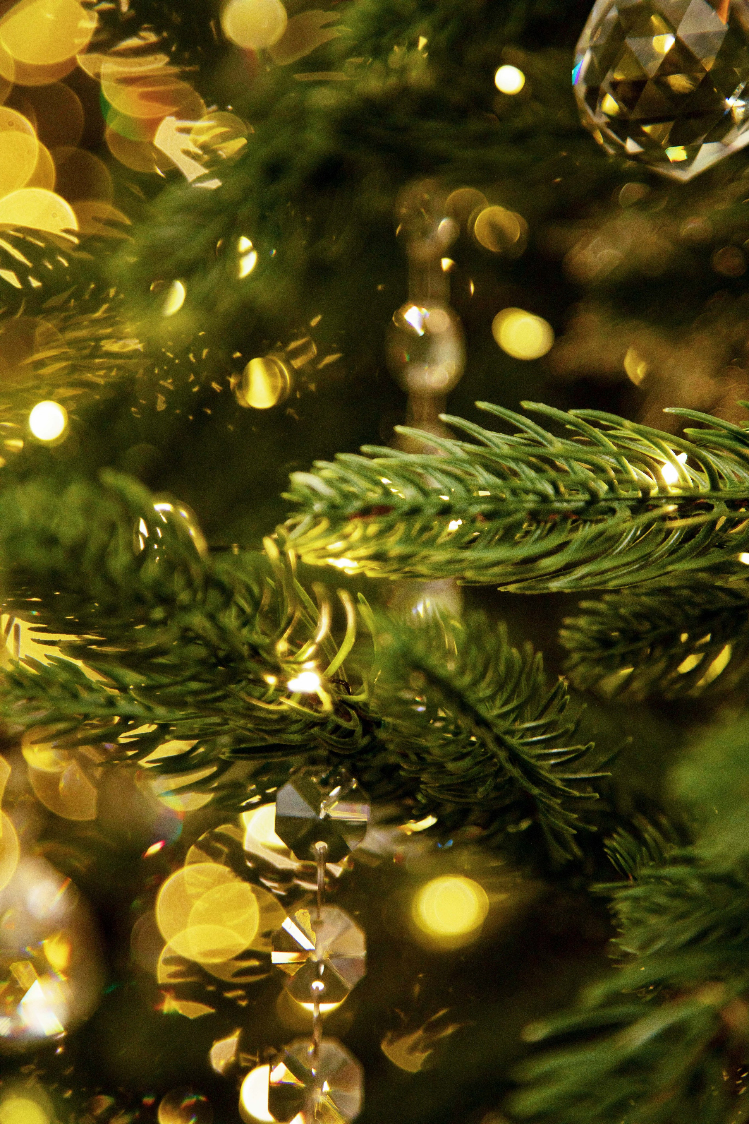 Мария. Семейный и детский фотограф в Санкт-Петербург. Natalia Fadel