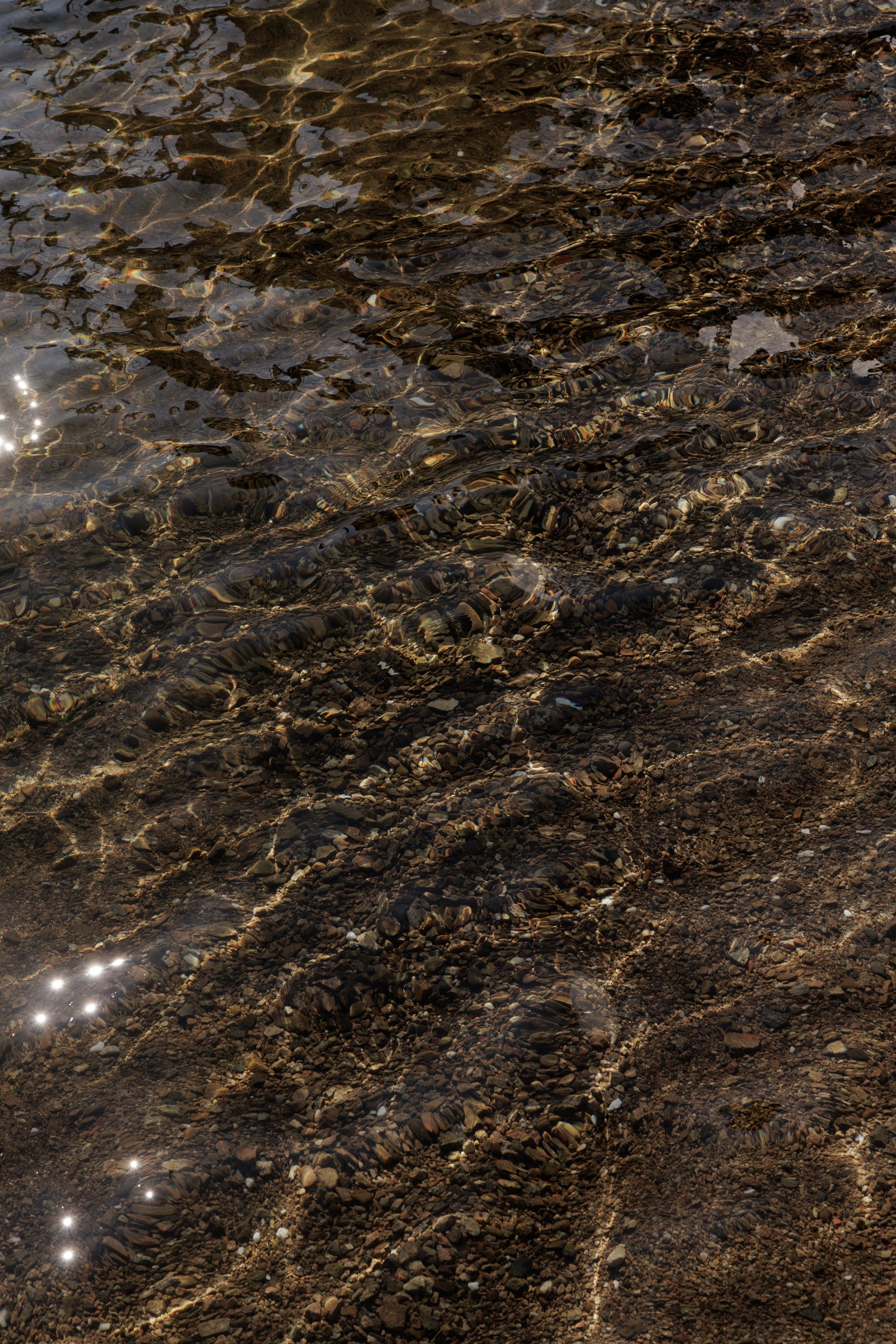 Олег и Мария. Свадебный фотограф