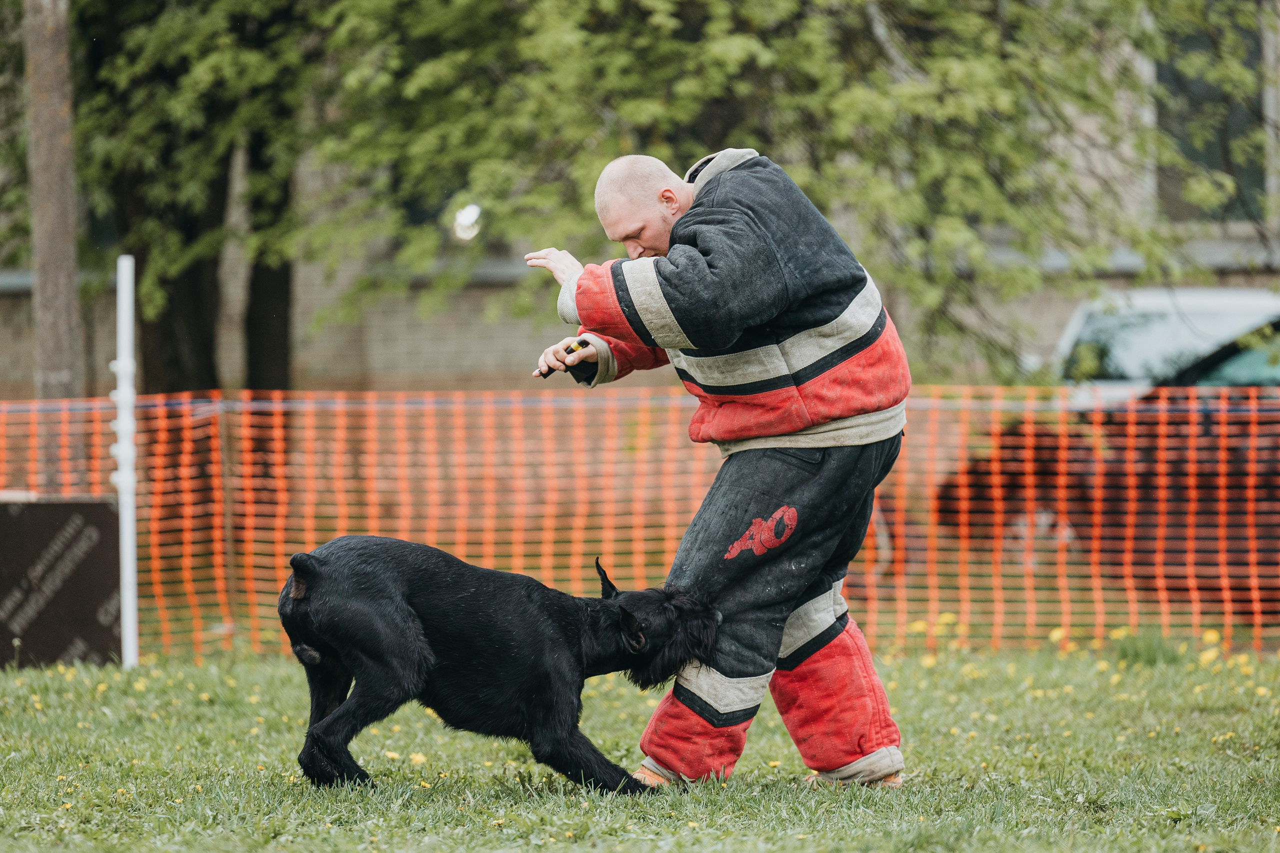26.05.25 г. Пушкин квалификационные соревнования. Фотограф-анималист Анна Маринич
