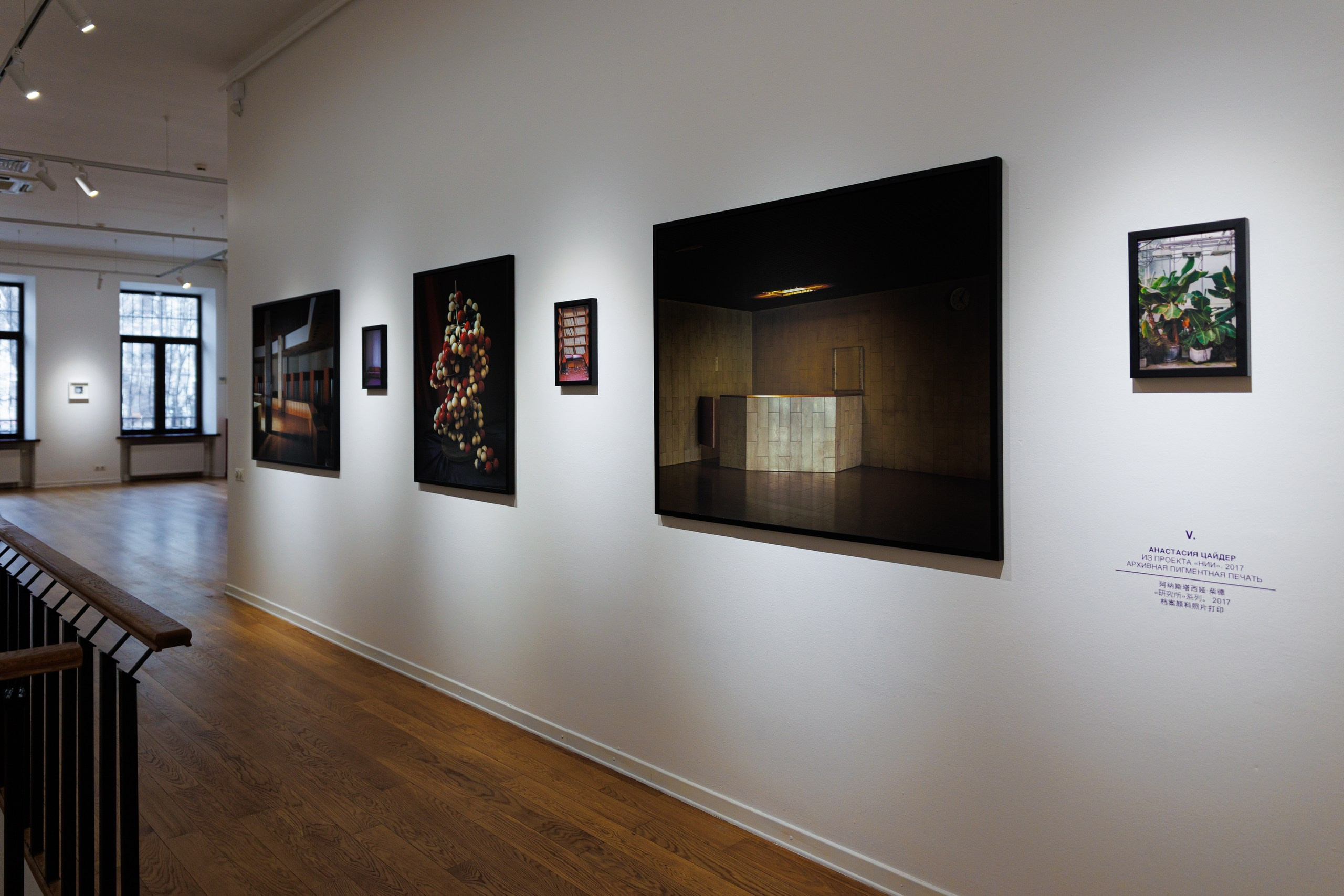 Выставка в ЦСИ № 9. Anastasia Tsayder