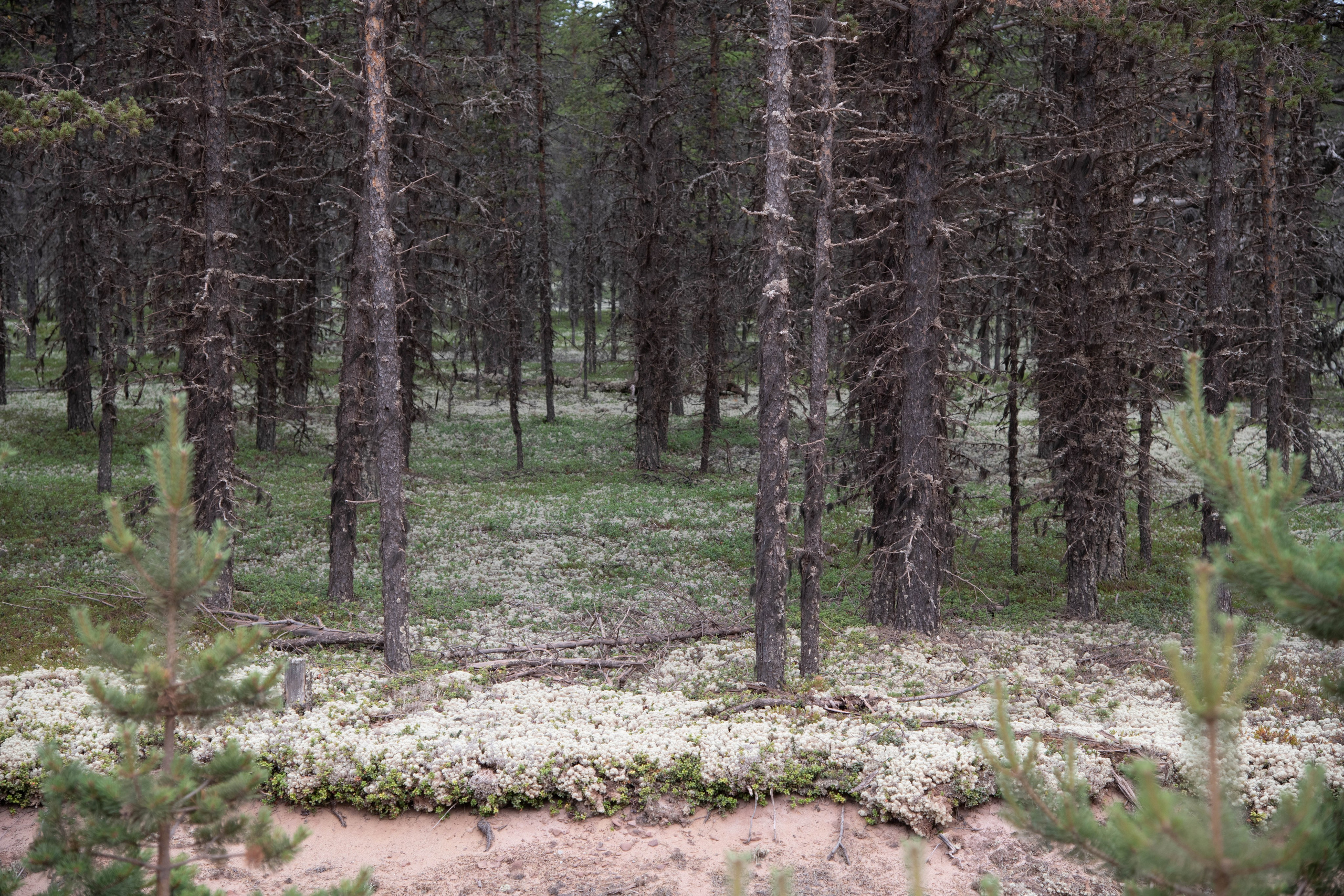 Кольский полуостров. Фотографирую для себя, своей семьи и друзей!