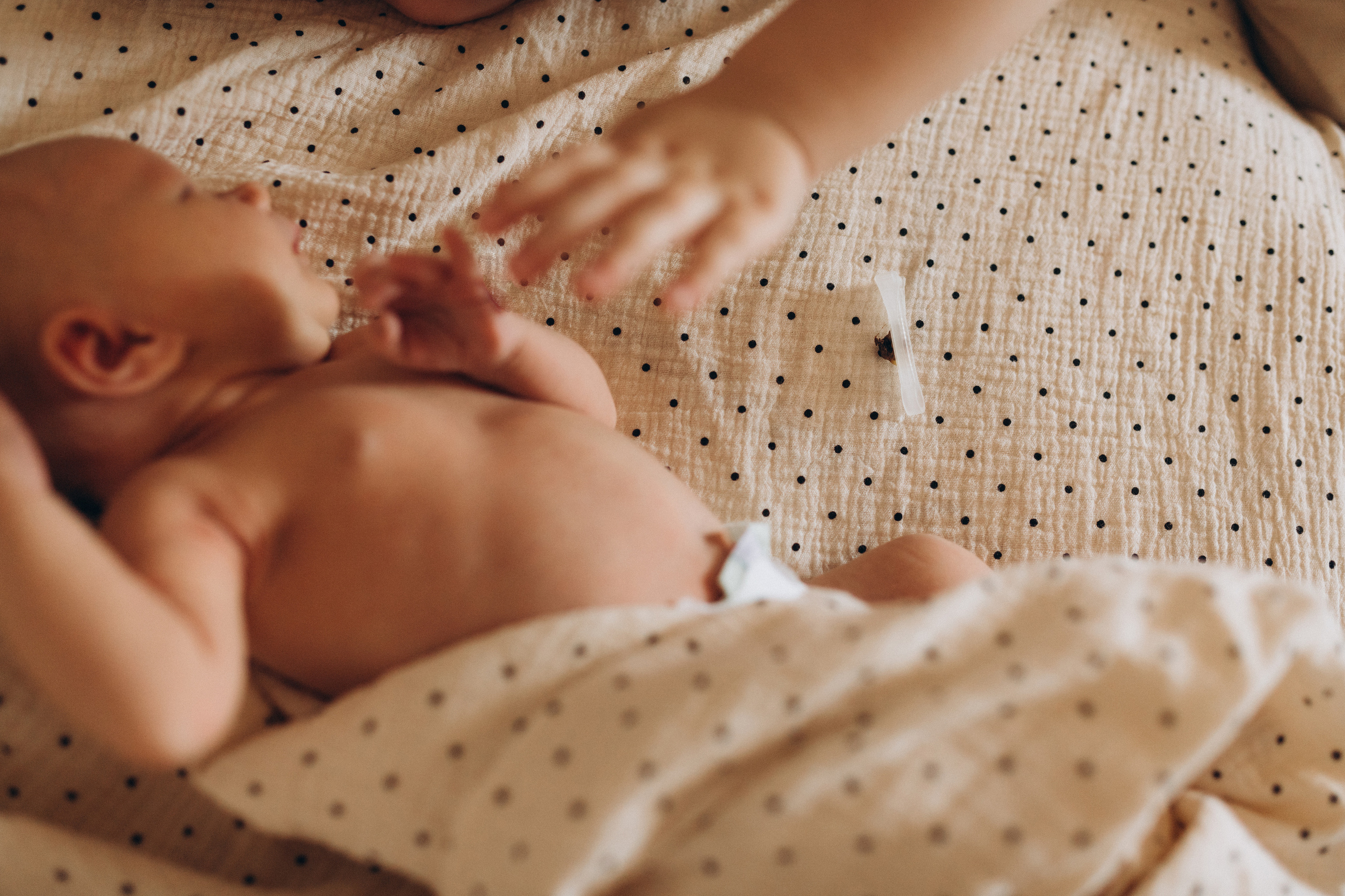 Малышка Оля. Семейный, свадебный фотограф в Чите Екатерина Мельникова