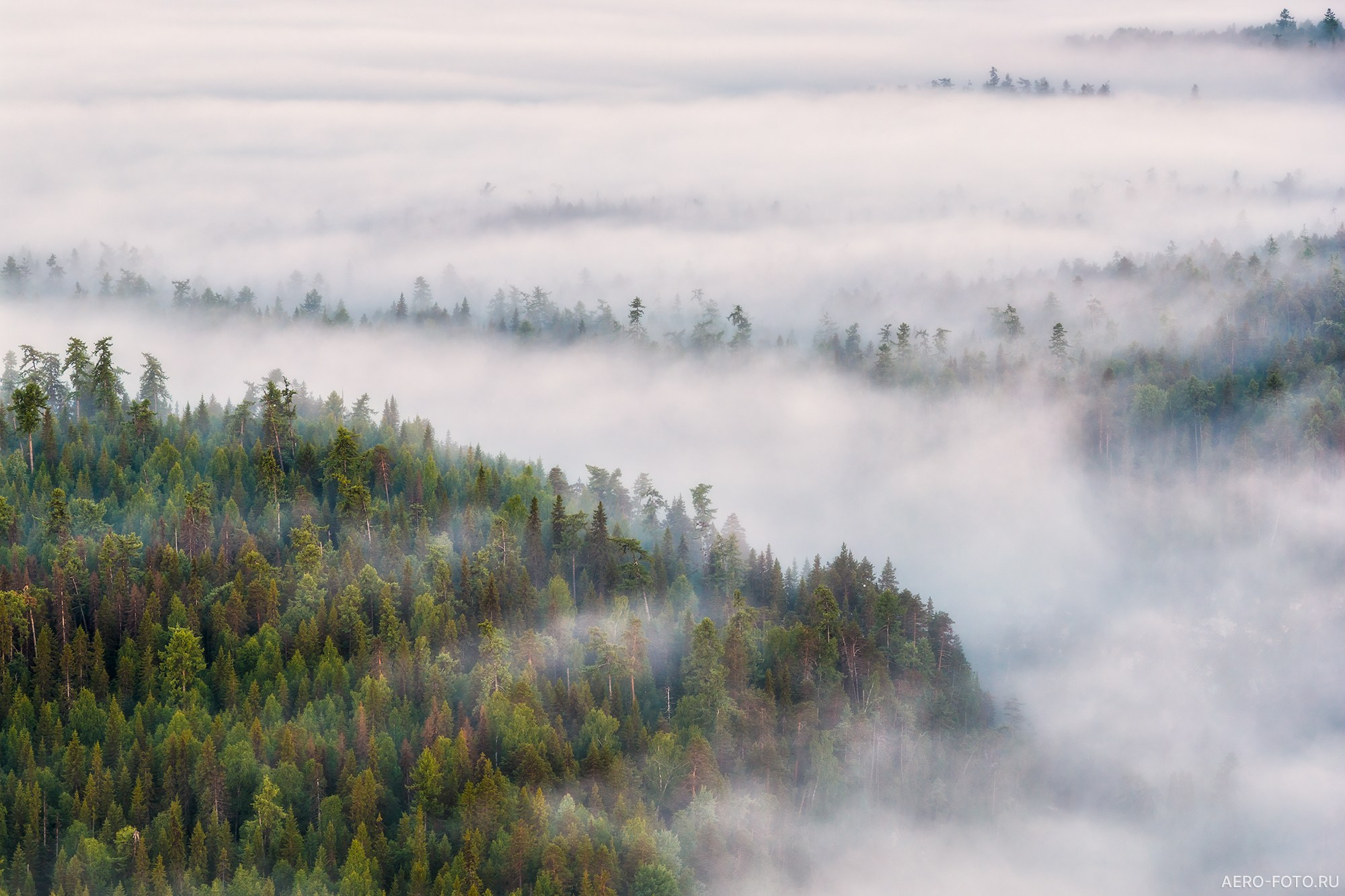 Пейзажная фотосъемка в Архангельской области. Промышленная и архитектурная фотосъемка в Архангельске | Аэросъемка | Александр Ермолин