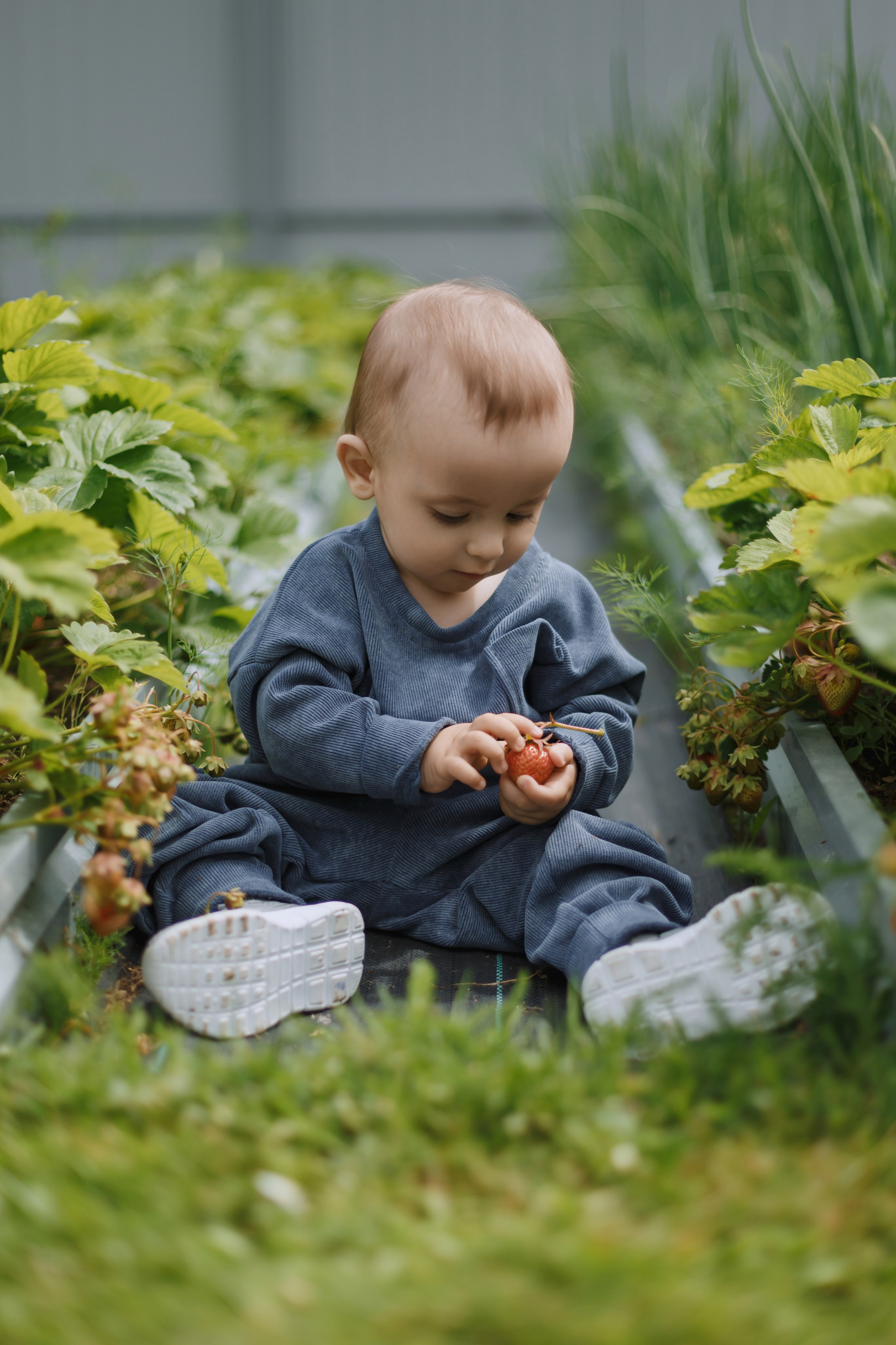 Большое Олино семейство. Профессиональный фотограф Надежда Антонова