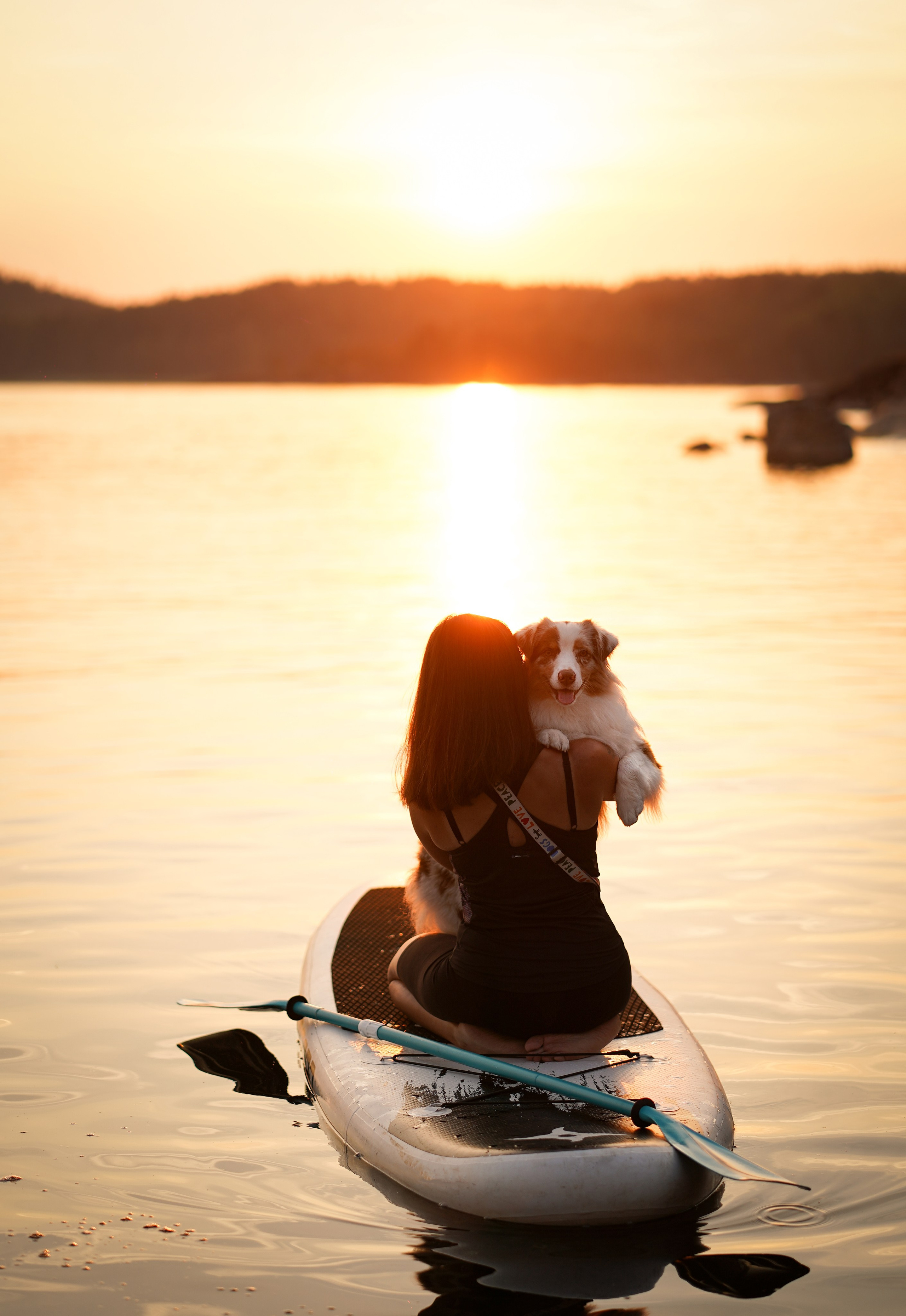 Панда SUP. Фотограф-анималист в Санкт-Петербурге Яна Мартынова