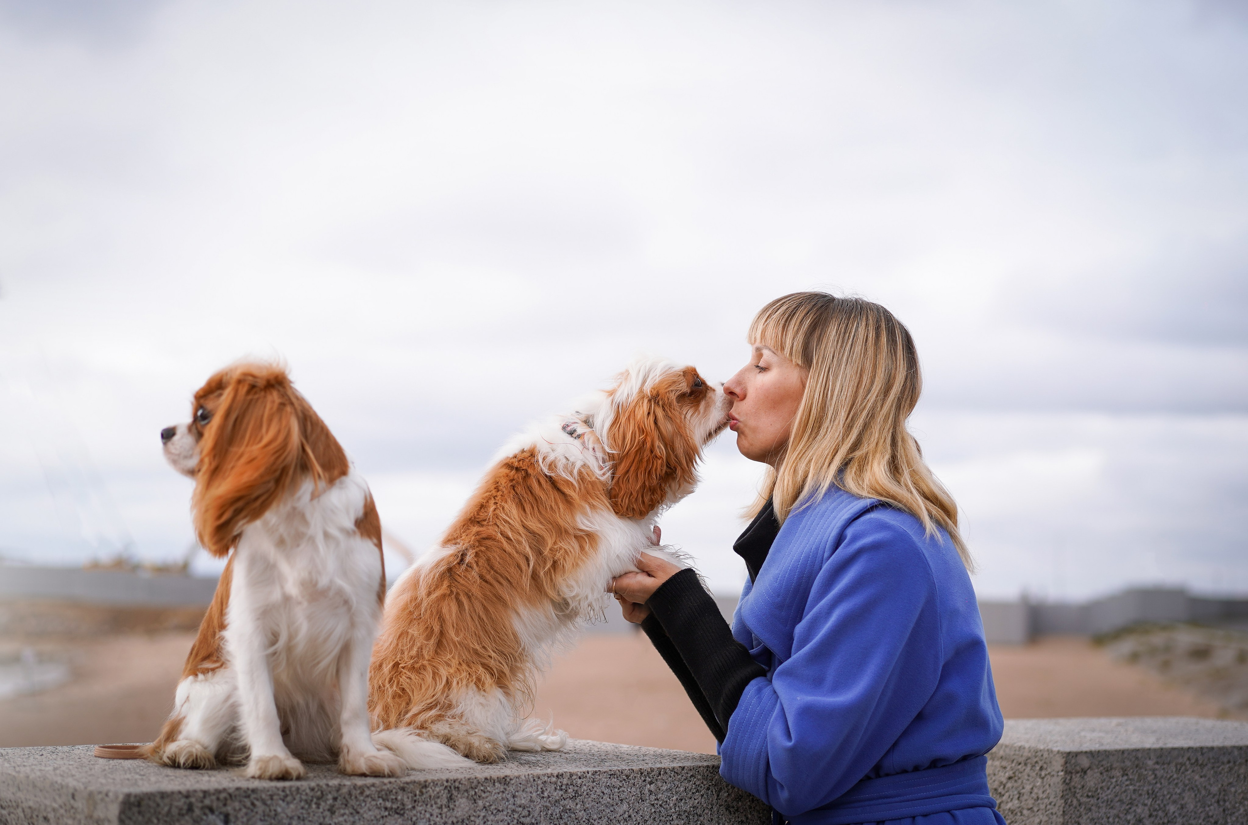 Катя Валера Саша и кавалерчики. Фотограф-анималист в Санкт-Петербурге Яна Мартынова