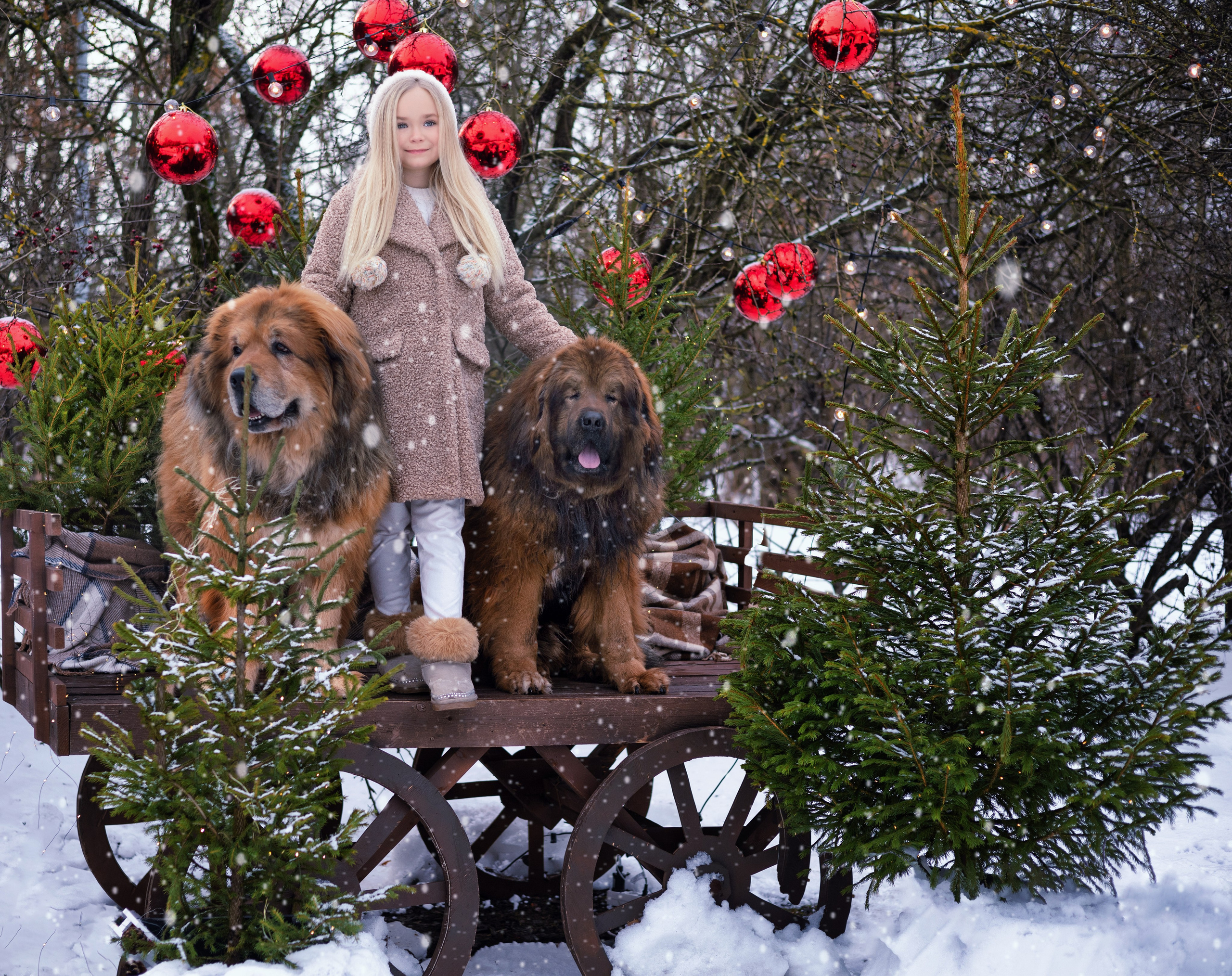 Детские съёмки. Фотограф Юлия Ревищина