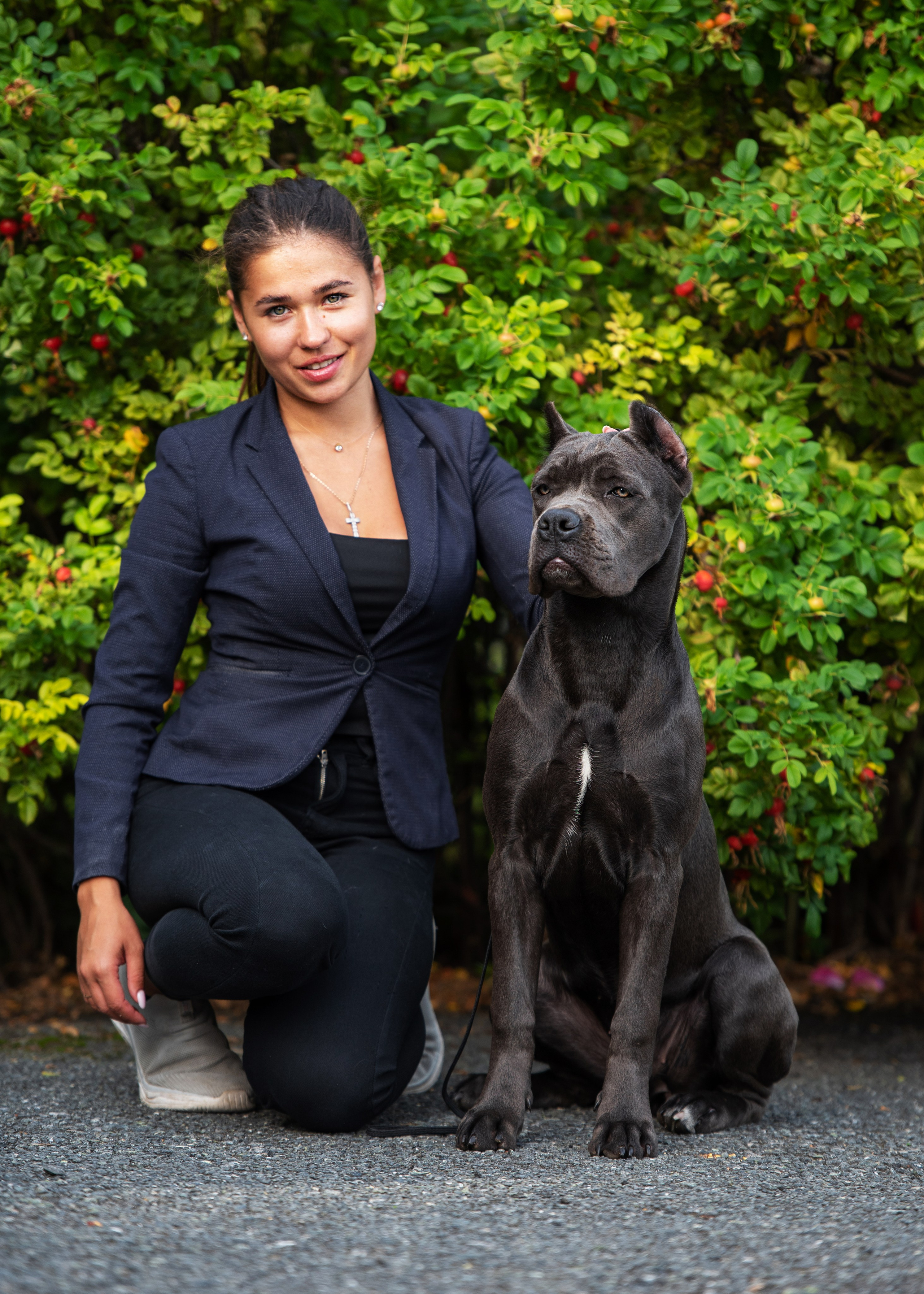 Выставка собак Тюмень 02.09.2023. Дог-фотограф в Тюмени Александра Королева