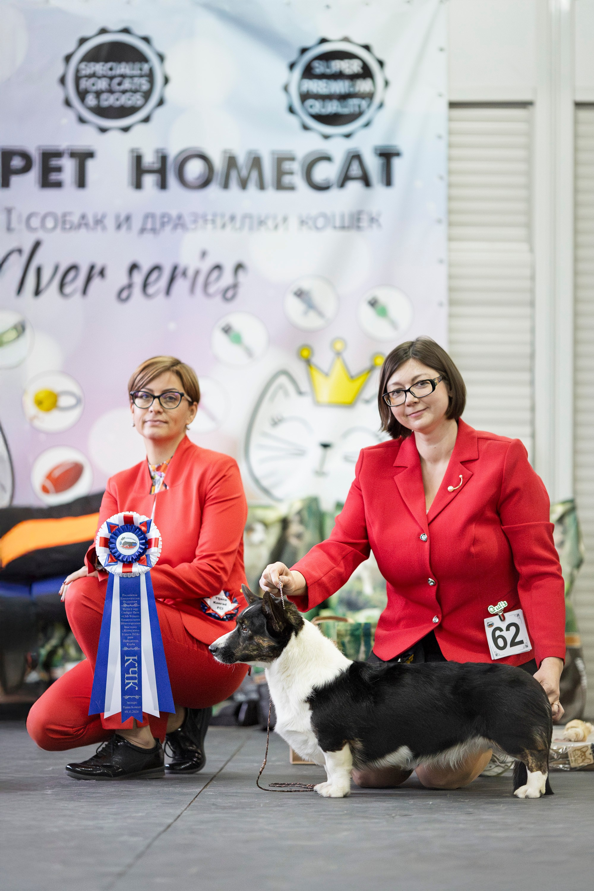 Националка ВКК 2024. Фотограф анималист, семейный фотограф, фотограф собак Комратова Мария. г. Москва