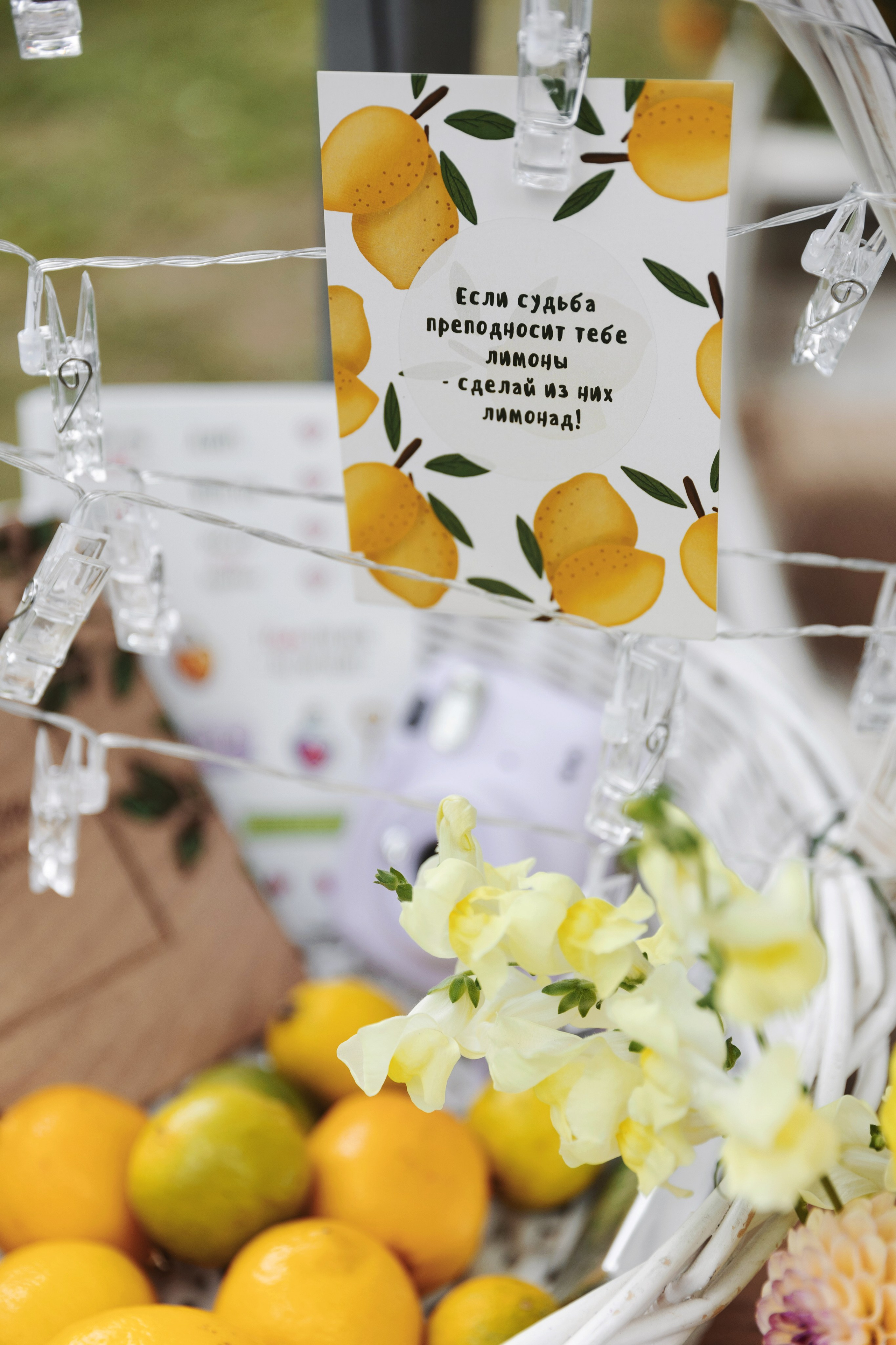 Истории 2023 года. Свадебный фотограф Москва Анастасия Храмова