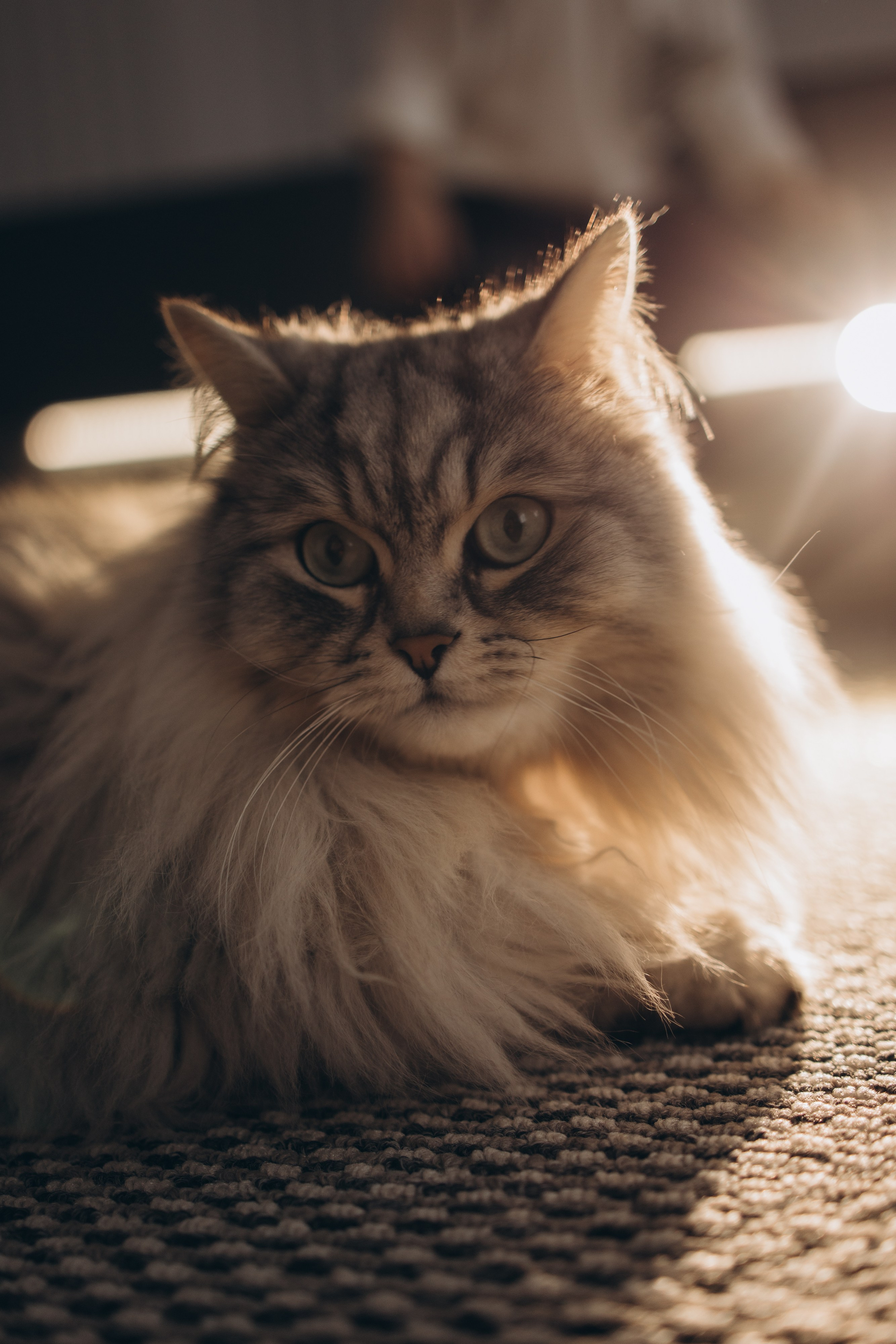 Миюше 2 годика