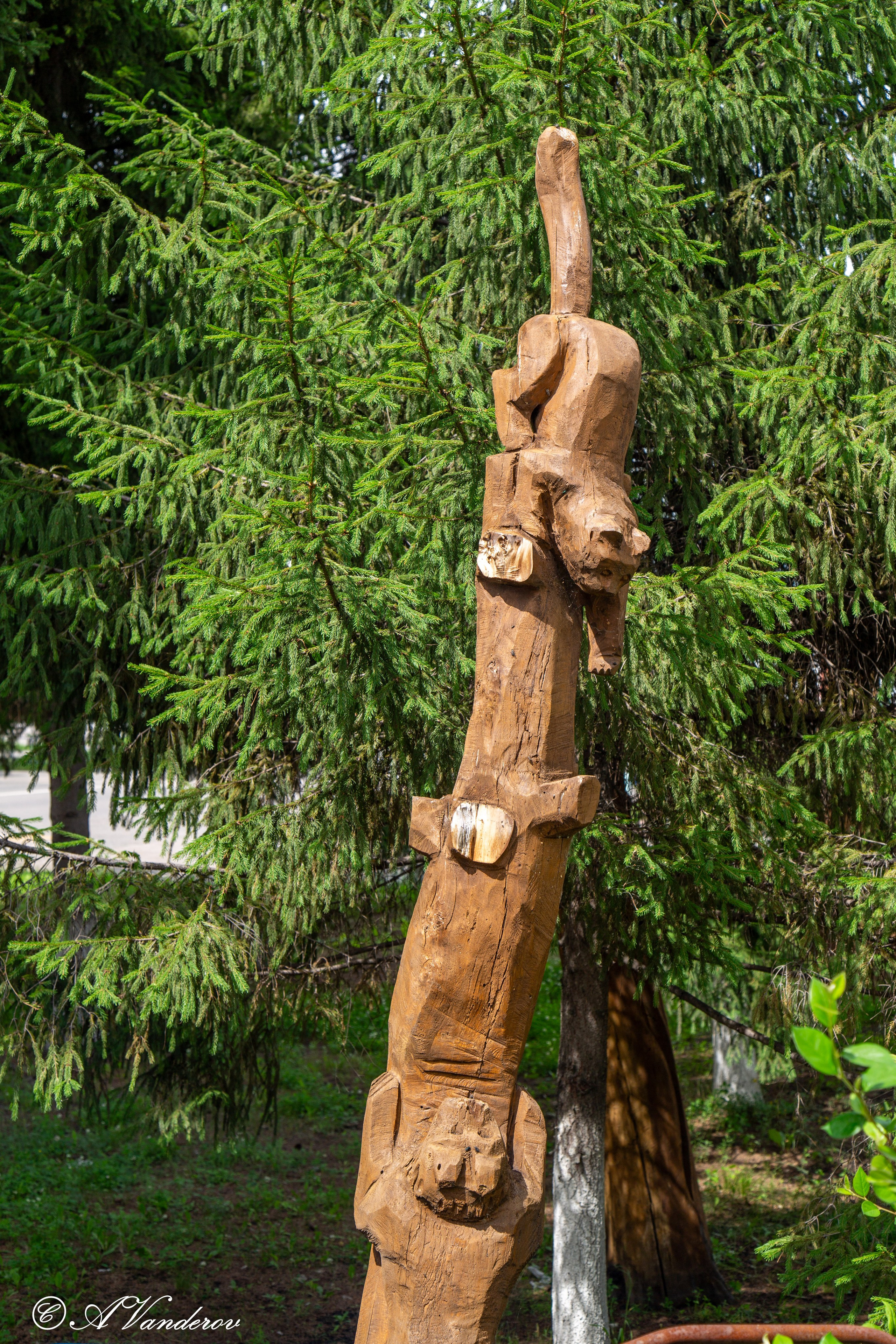 Калачинск 07.07.2024. Фотограф Омск | Александр Вандеров