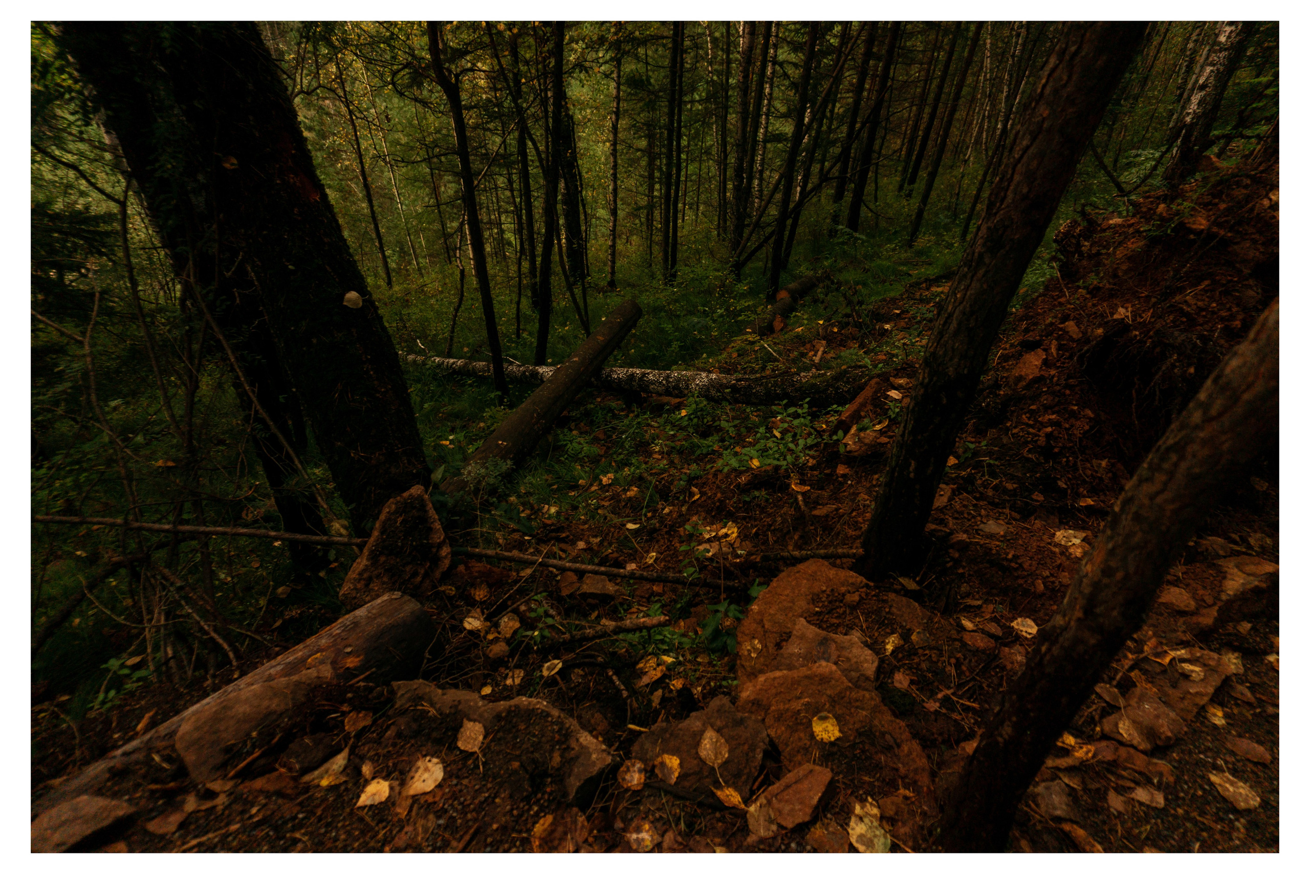 28.08.2025 | Красноярск. Kuznetsov | Фотограф в Красноярске