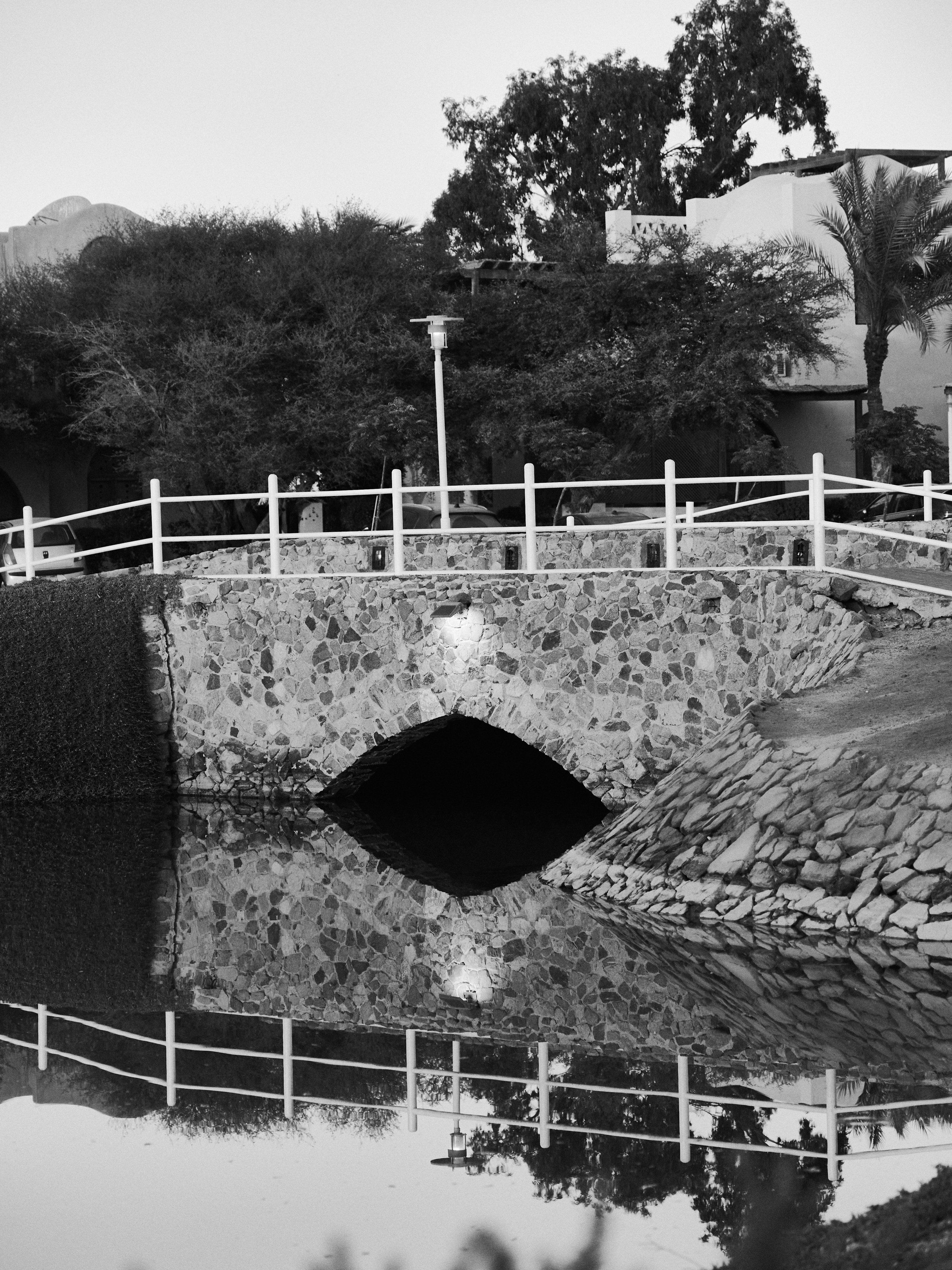 Другое 3. Jorgis — фотограф в Хургаде / обучение фотографии