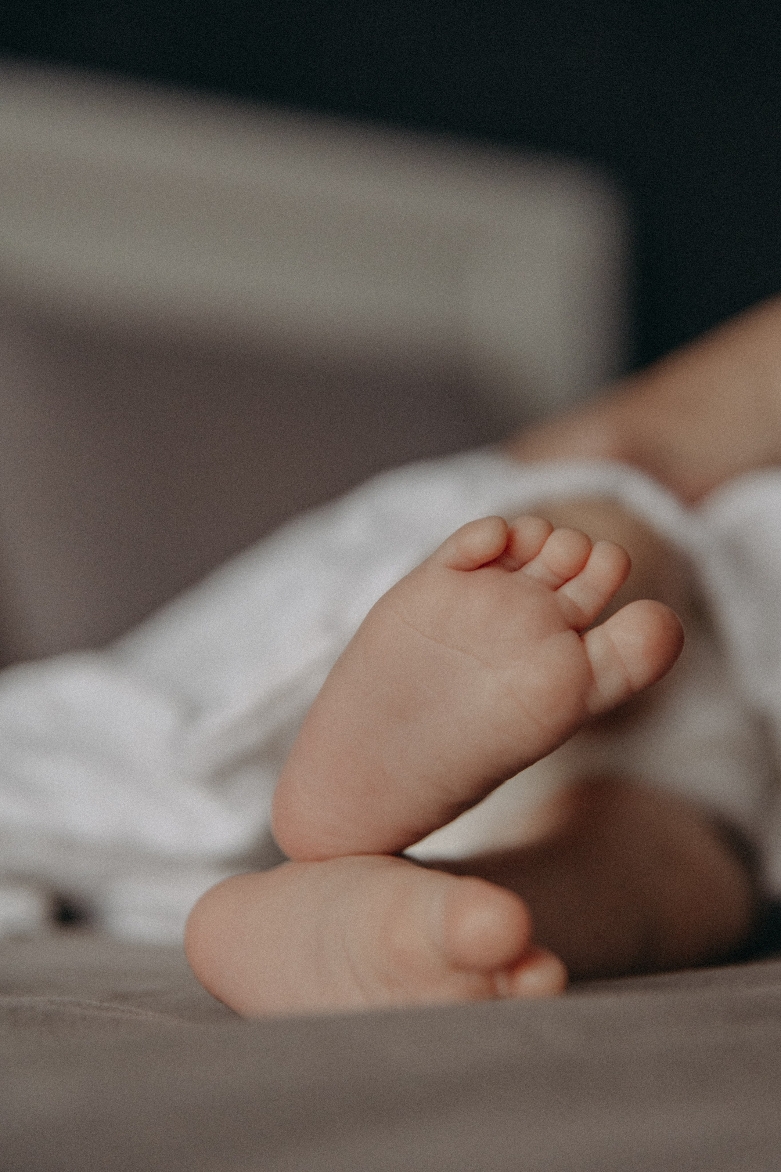 Виктория, Алексей и Андрюша. Семейный фотограф Земскова Евгения