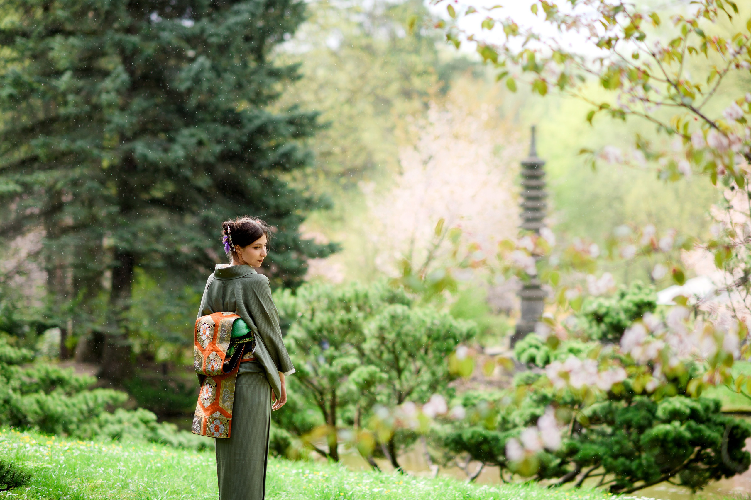 Любование цветением сакуры в Японском саду. Главная