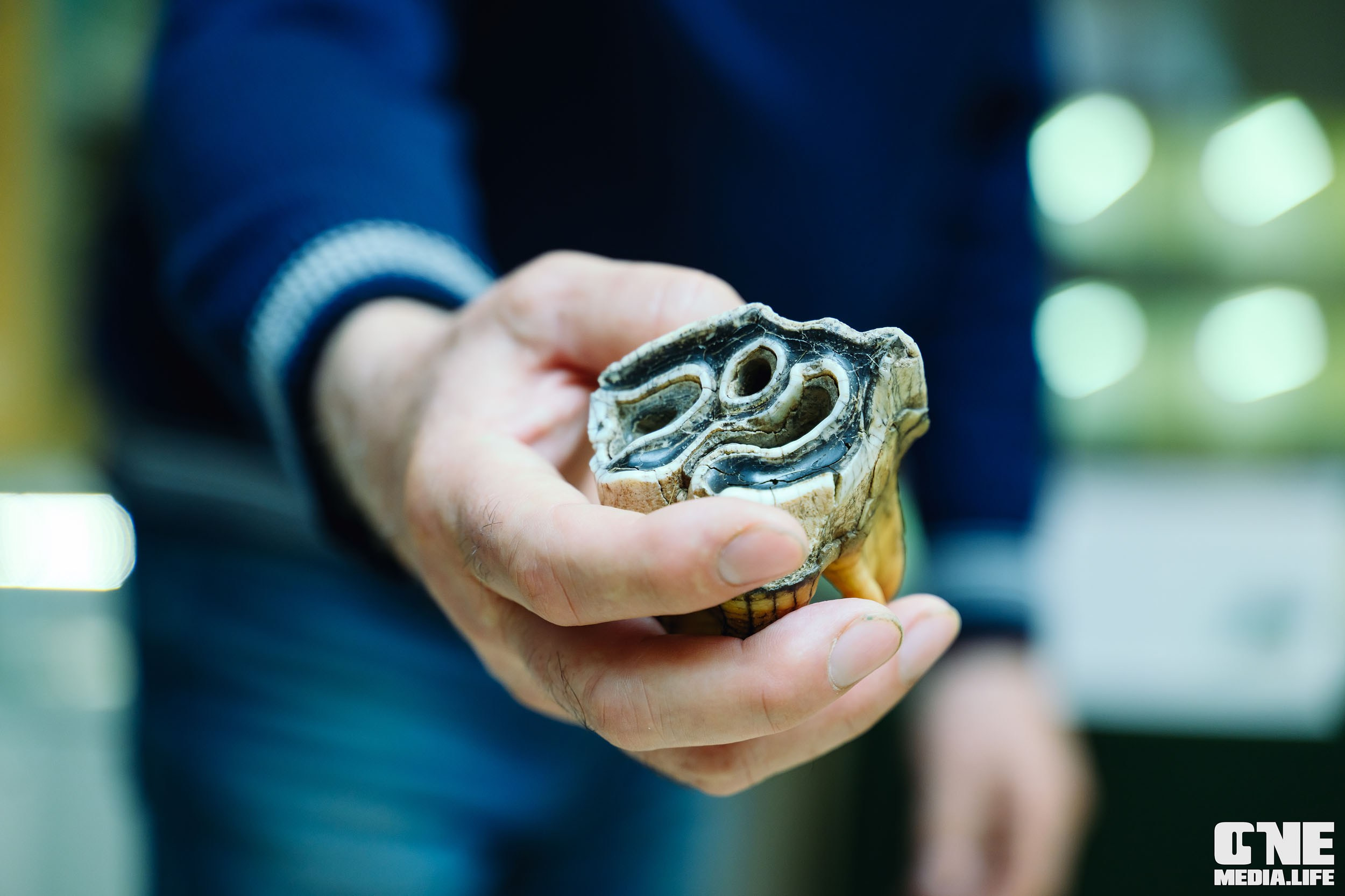 Балтийский Культурный Форум 2024. One Media Life: фоторепортажи, фотоотчеты с мероприятий и заведений