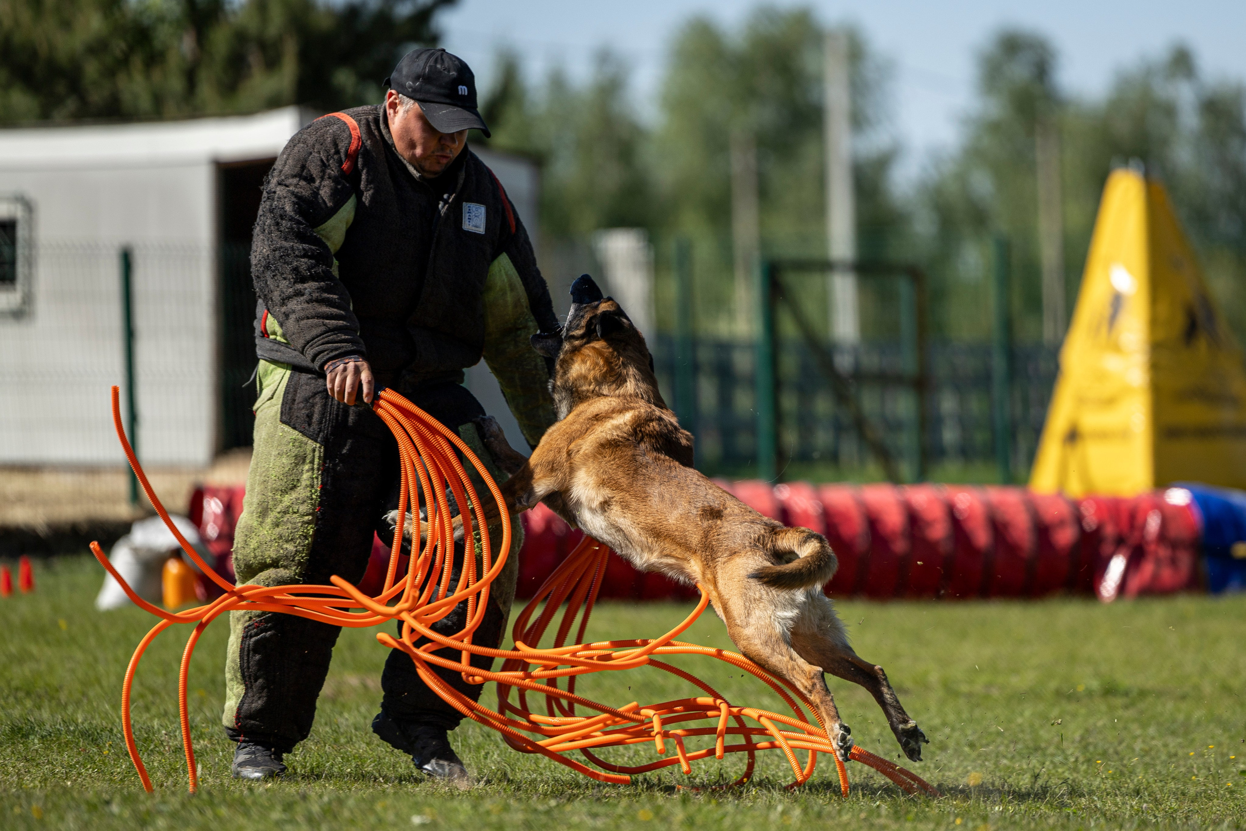 Испытания по мондьорингу в Нижнем Новгороде. Фотограф-анималист Анна Маринич