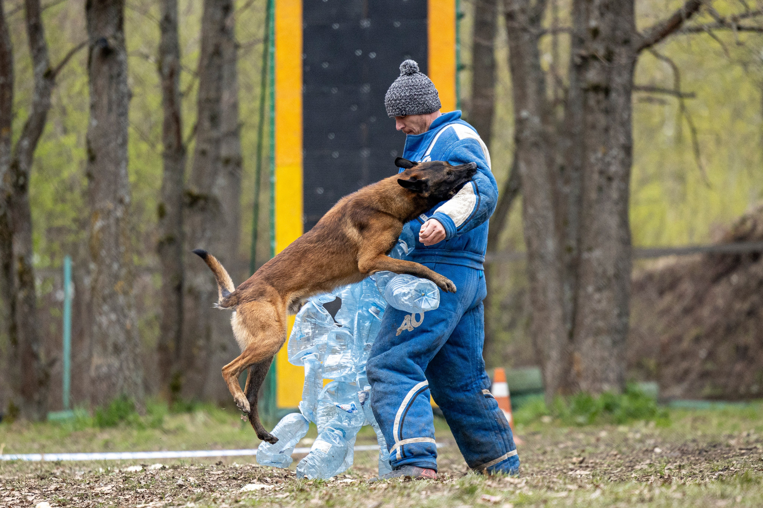 Квалификационные состязания по мондьорингу г. Вологда 11.05.24. Фотограф-анималист Анна Маринич
