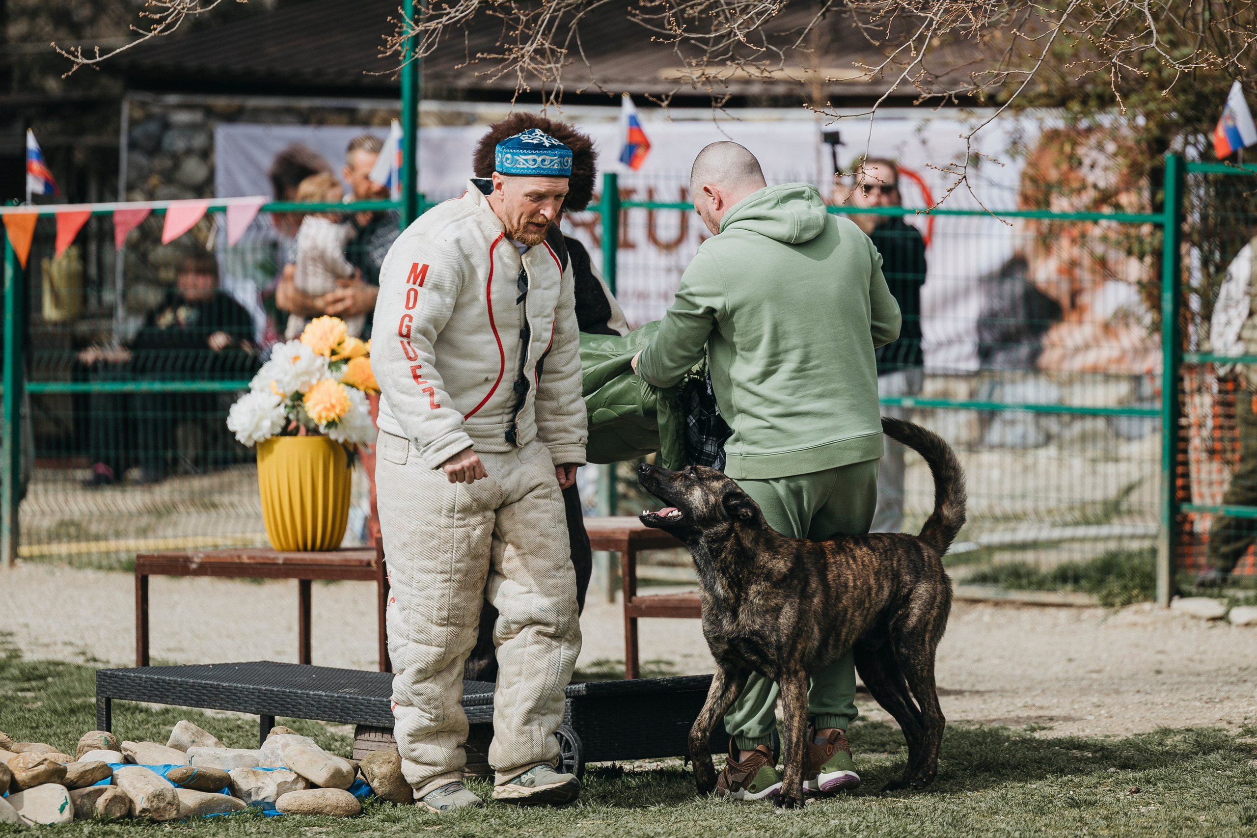 Геленджик Мондьоринг. Фотограф-анималист Анна Маринич