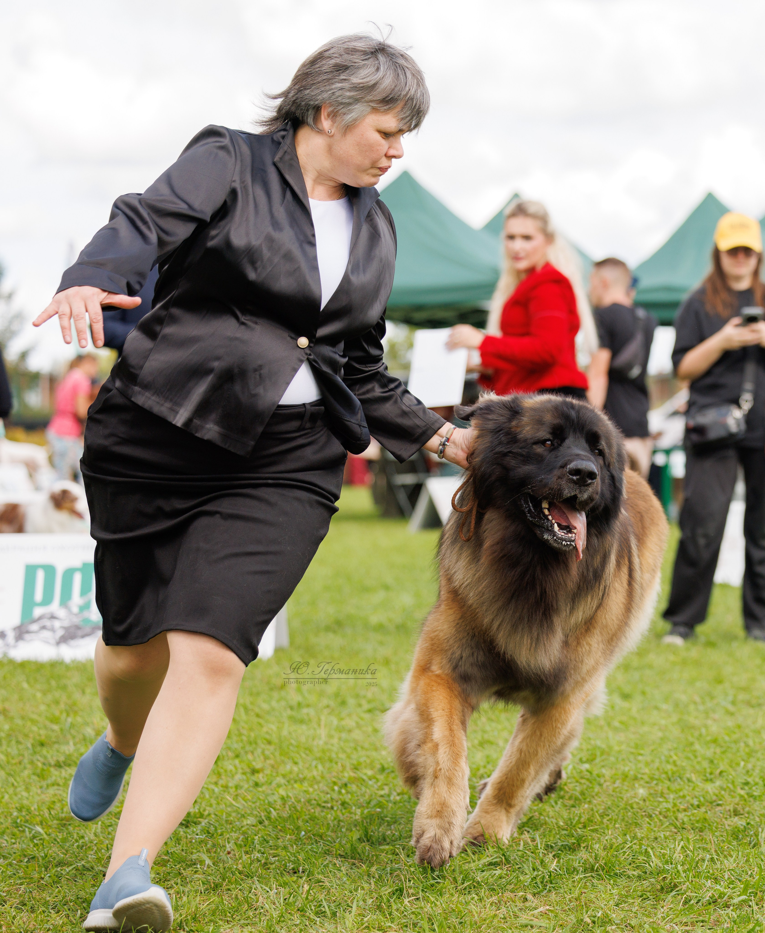 Переславль 5-7.08.2025. Фотограф-анималист Юлия Германика