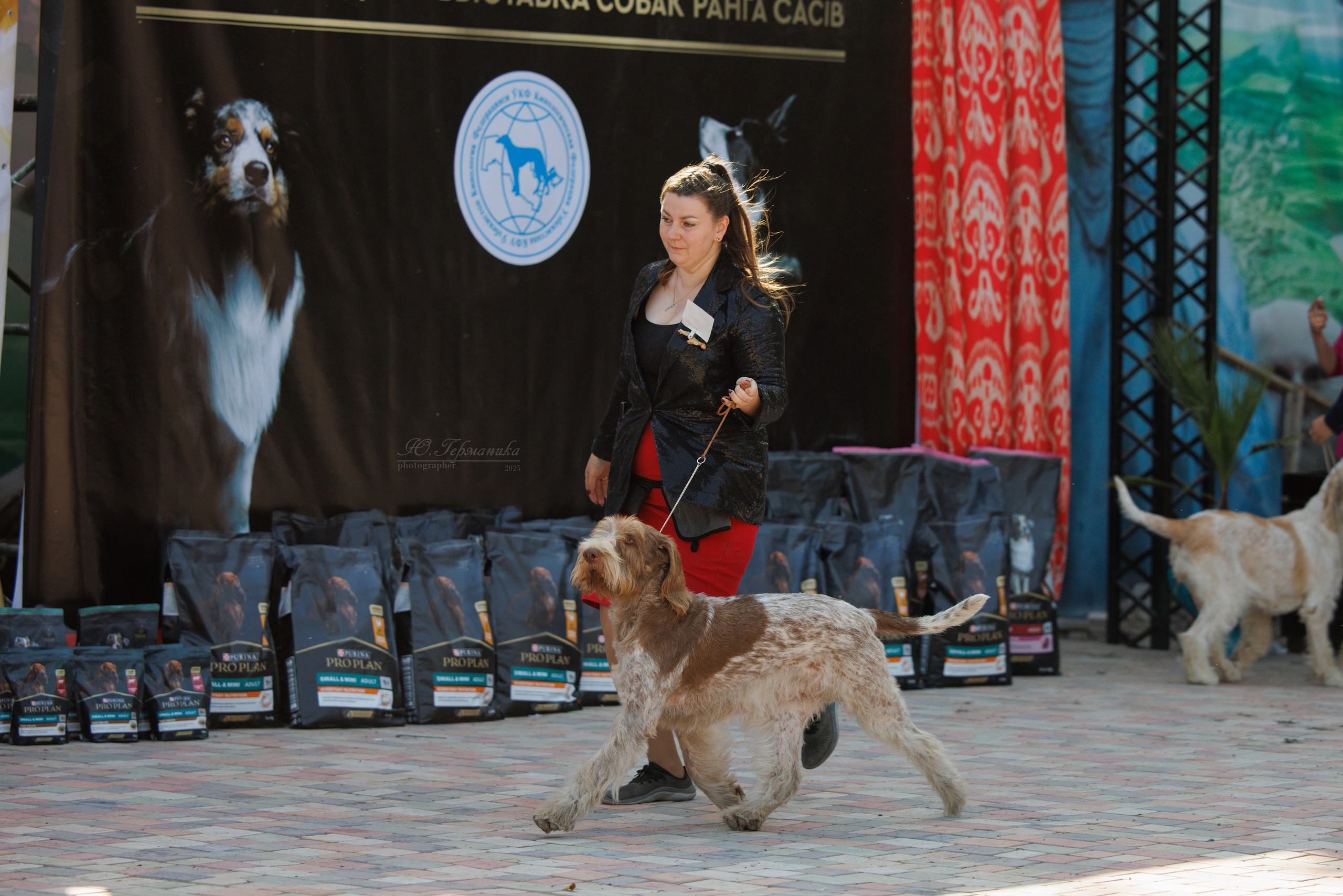 Ташкент 3хCACIB 3-5.10.2025. Фотограф-анималист Юлия Германика