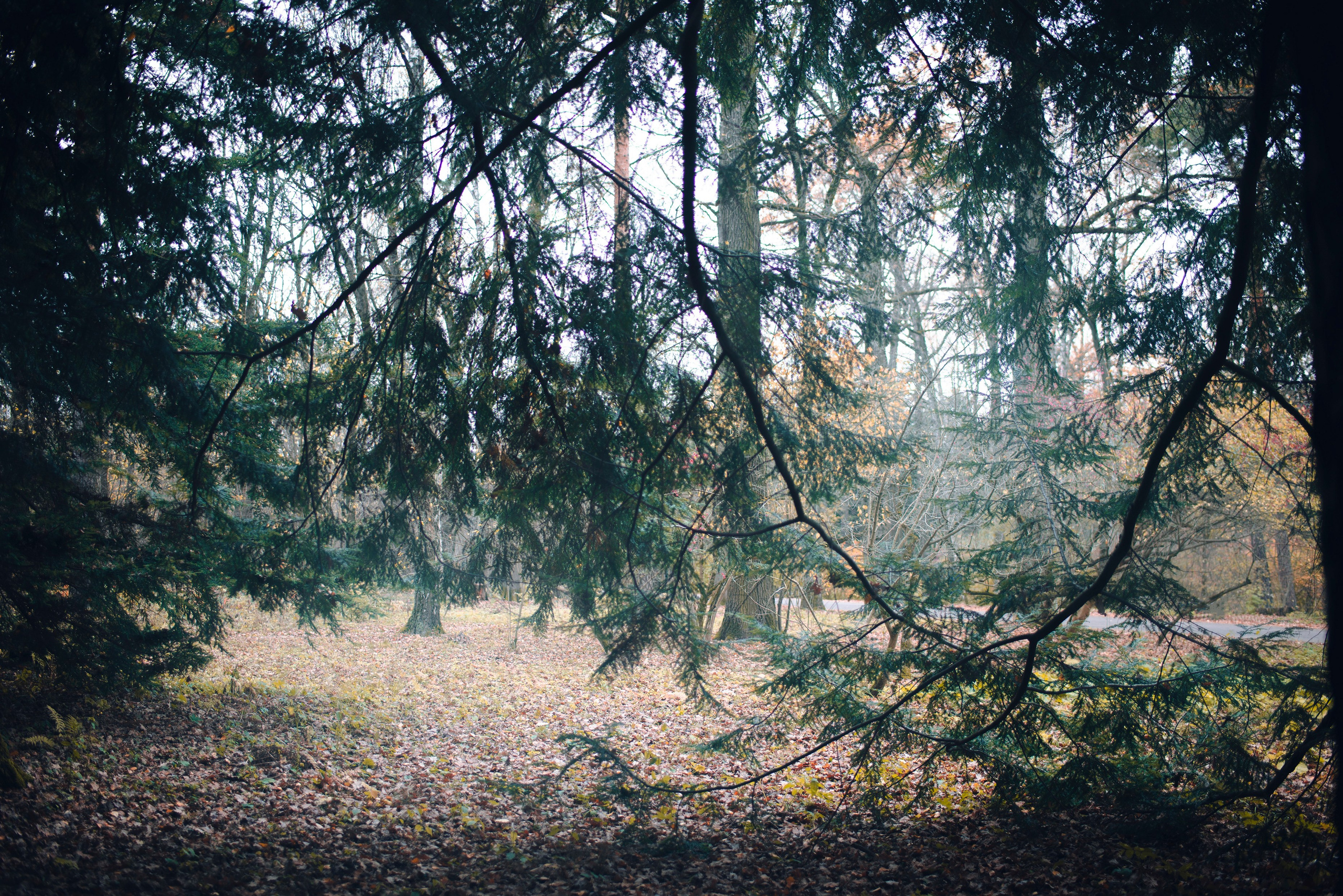 Being (study progect). Фотограф в Москве Алейникова Евгения